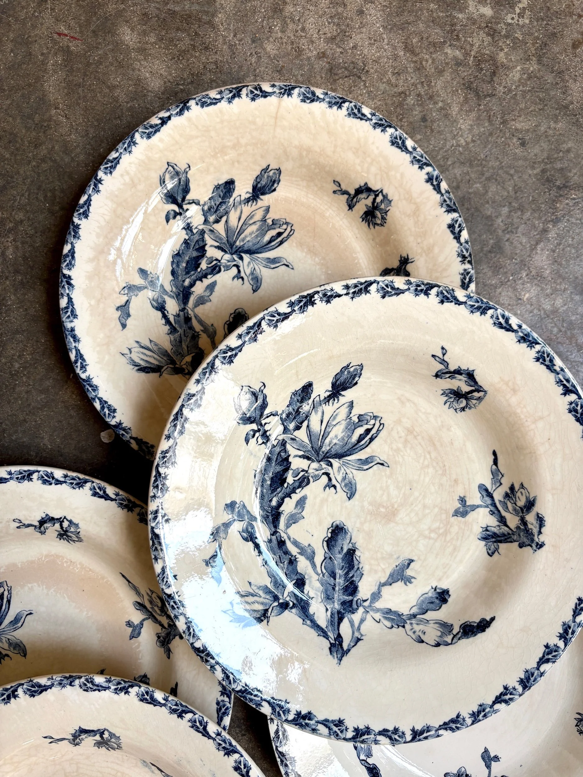 assiettes-creuses-gien-cactus-bleu-blanc-terre-fer-vaisselle-vintage-axs-design-paris-france