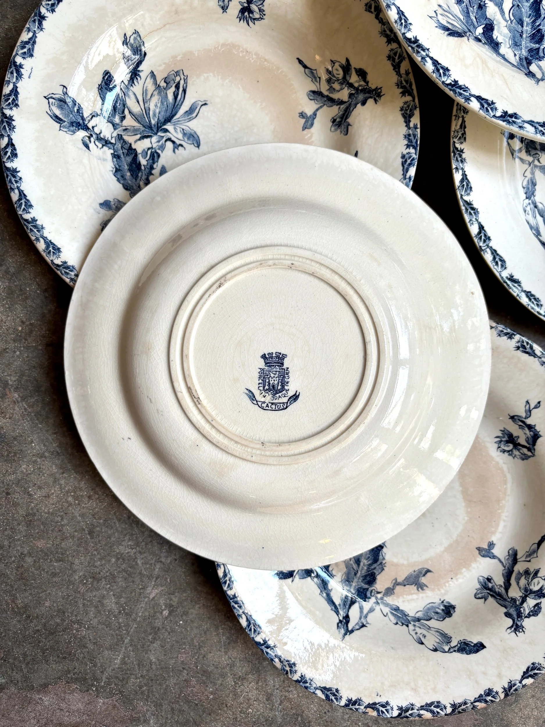 assiettes-creuses-gien-cactus-bleu-blanc-terre-fer-vaisselle-vintage-axs-design-paris-france