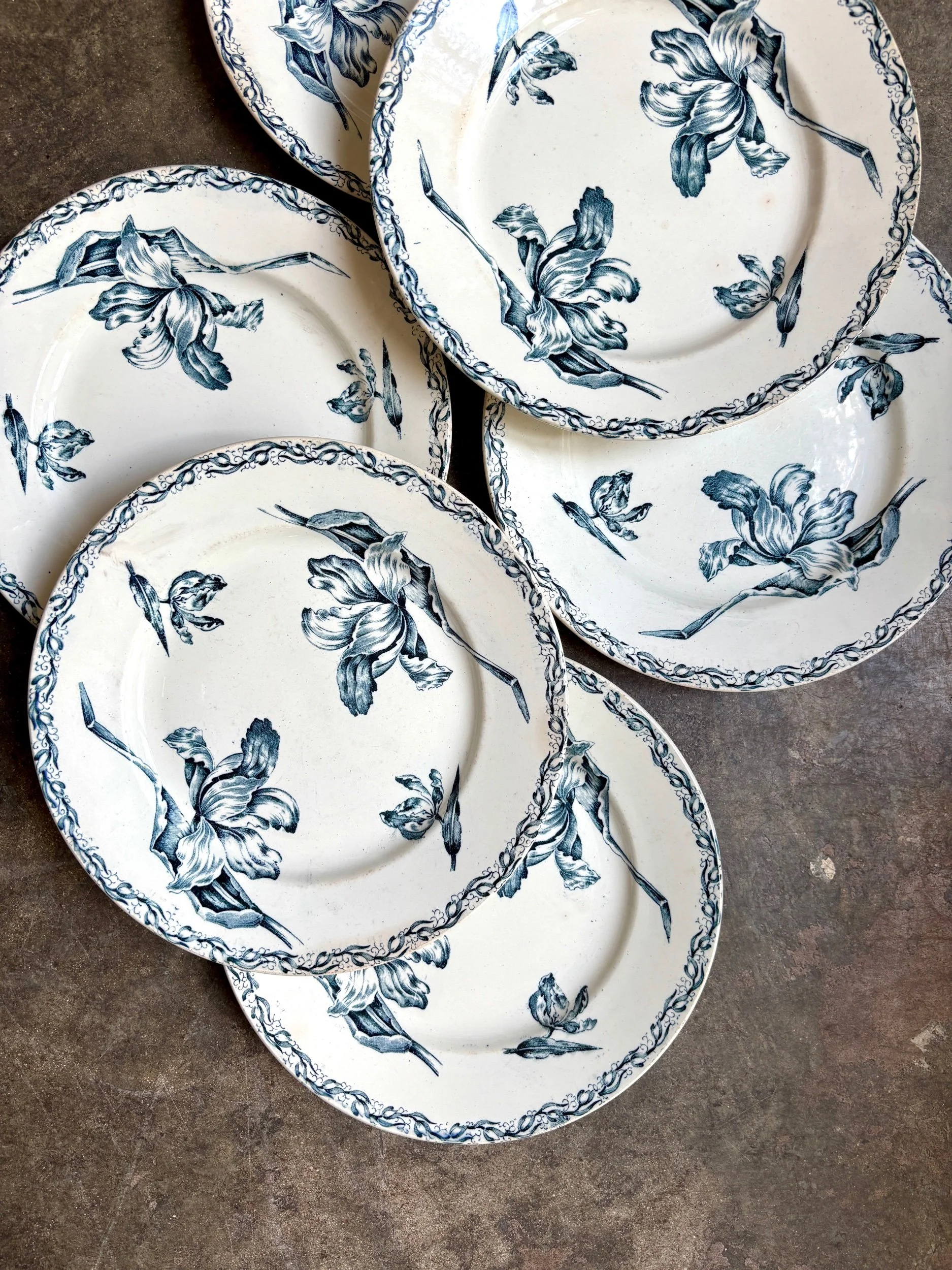 6 assiettes plates Lunéville en terre de fer bleue, service "Tulipe"