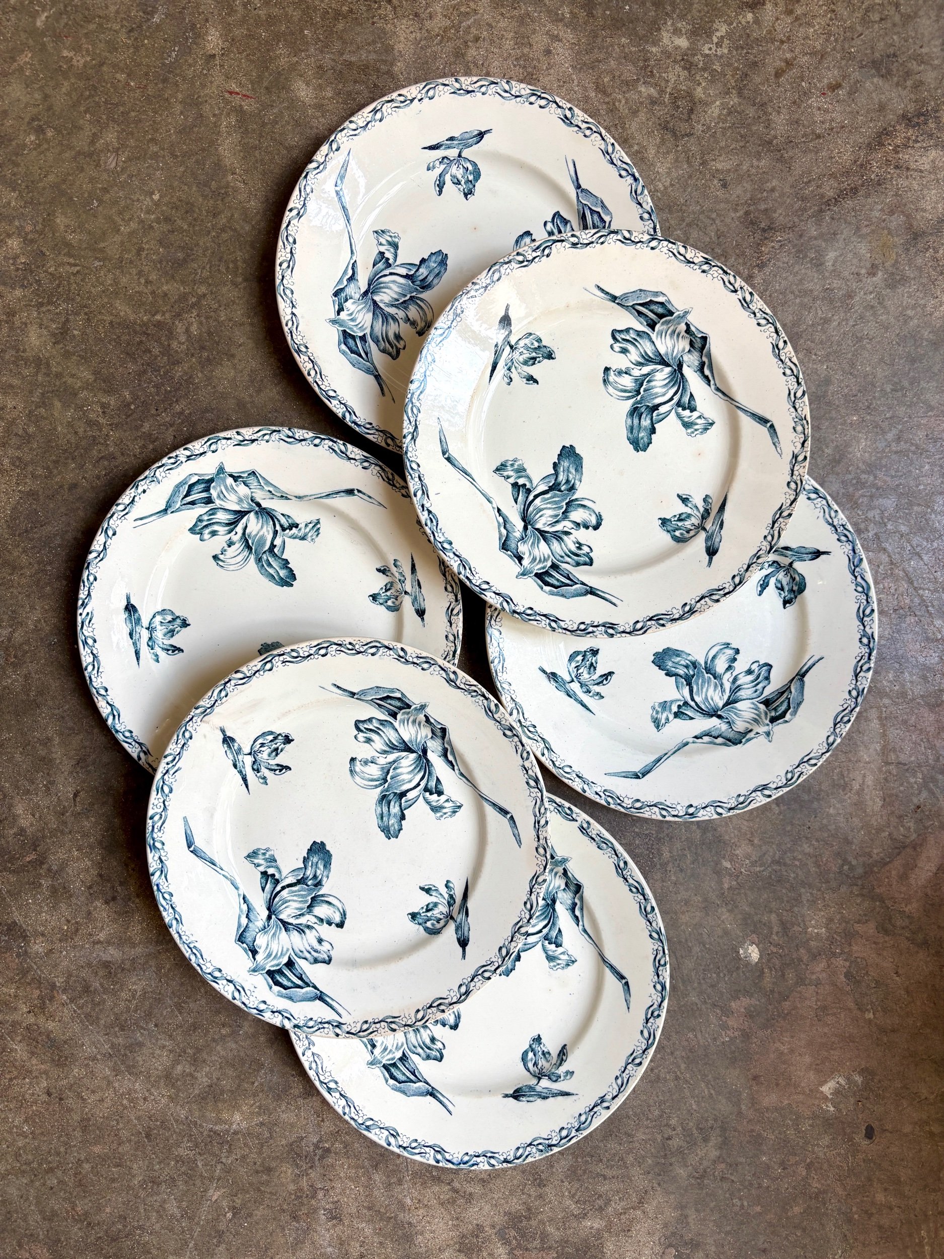 assiettes-plates-luneville-tulipe-terre-fer-bleu-blanc-vaisselle-vintage-axs-design-paris-france