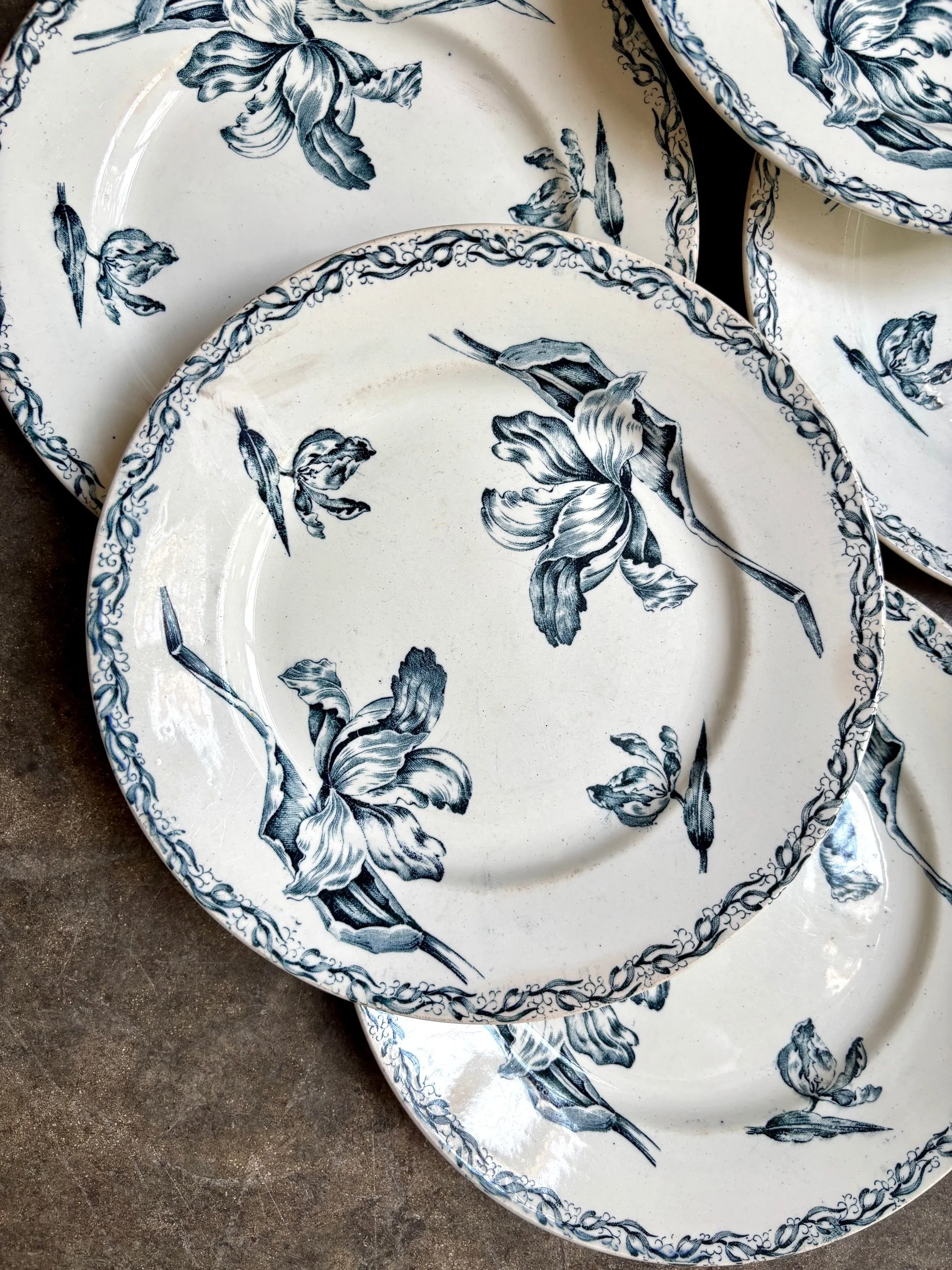 assiettes-plates-luneville-tulipe-terre-fer-bleu-blanc-vaisselle-vintage-axs-design-paris-france