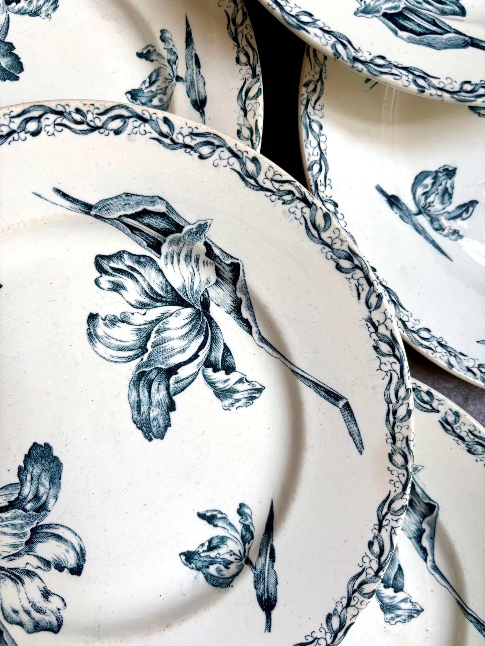 assiettes-plates-luneville-tulipe-terre-fer-bleu-blanc-vaisselle-vintage-axs-design-paris-france
