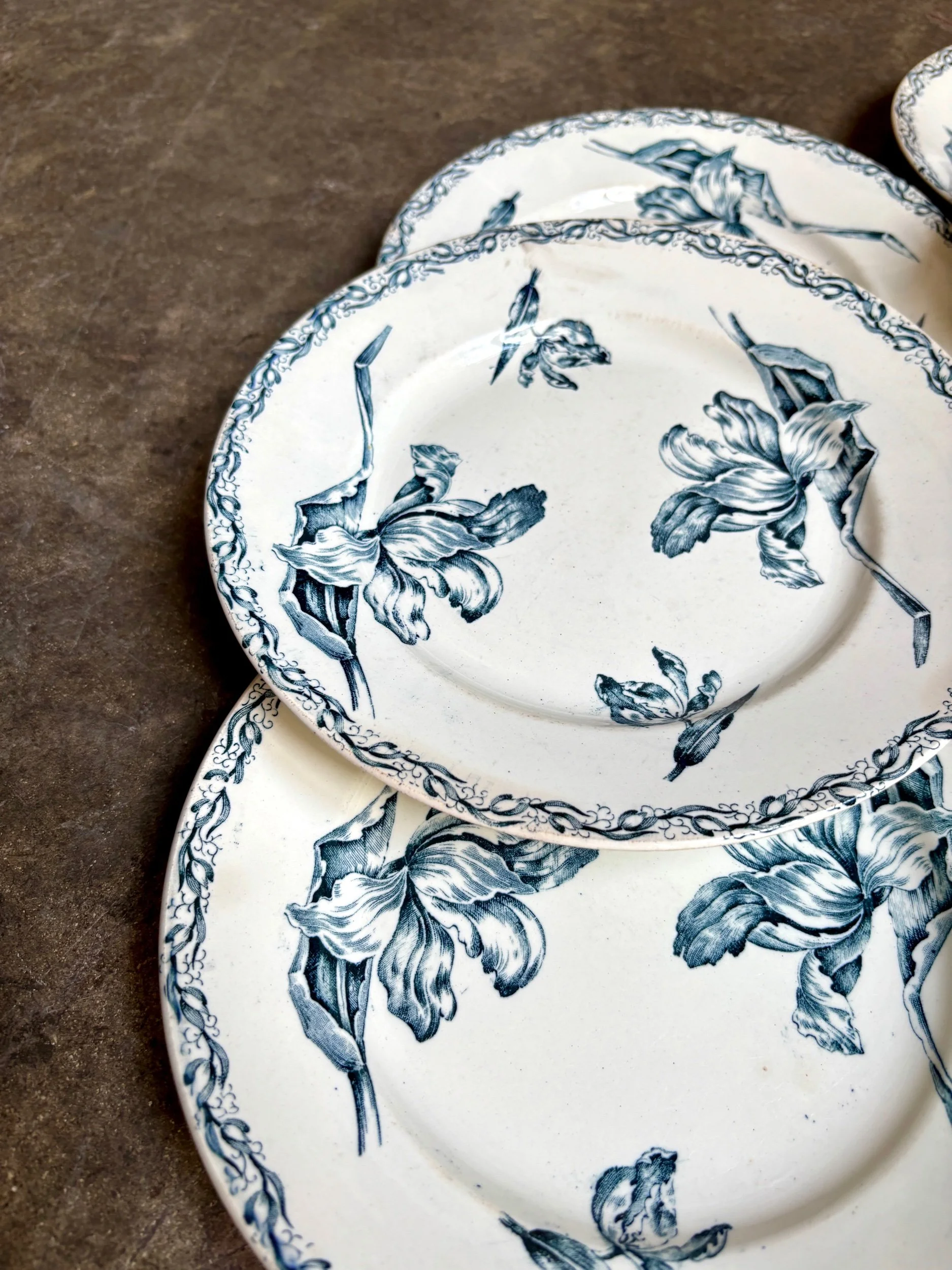 assiettes-plates-luneville-tulipe-terre-fer-bleu-blanc-vaisselle-vintage-axs-design-paris-france