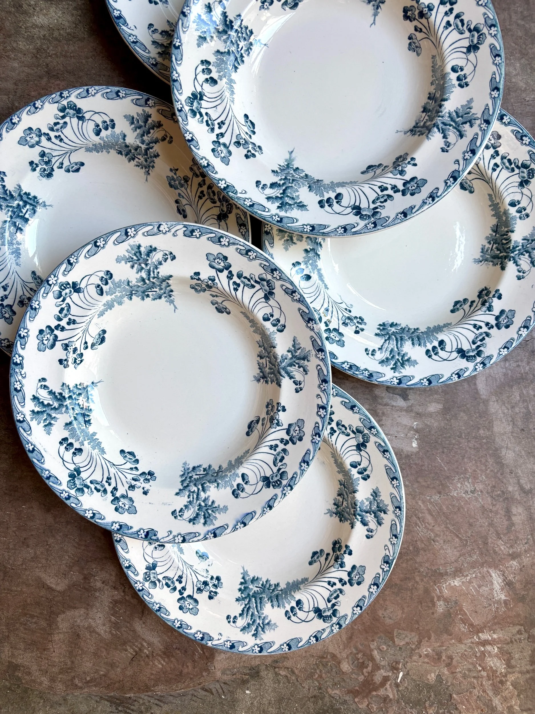 6 assiettes creuses Longwy en terre de fer bleue, service "Chartres"