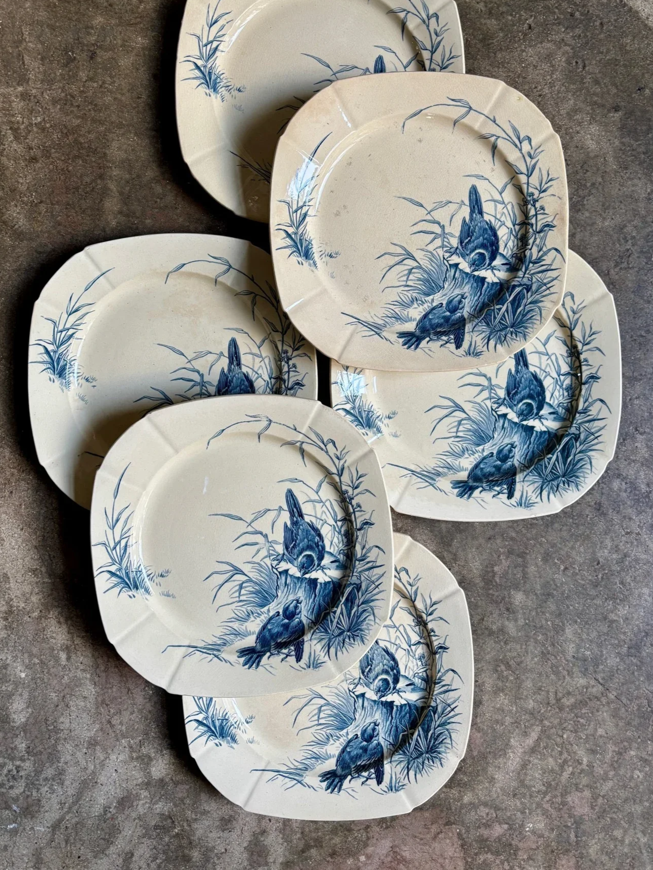 gien-oiseaux-assiettes-terre-fer-vaisselle-vintage-axs-design-paris