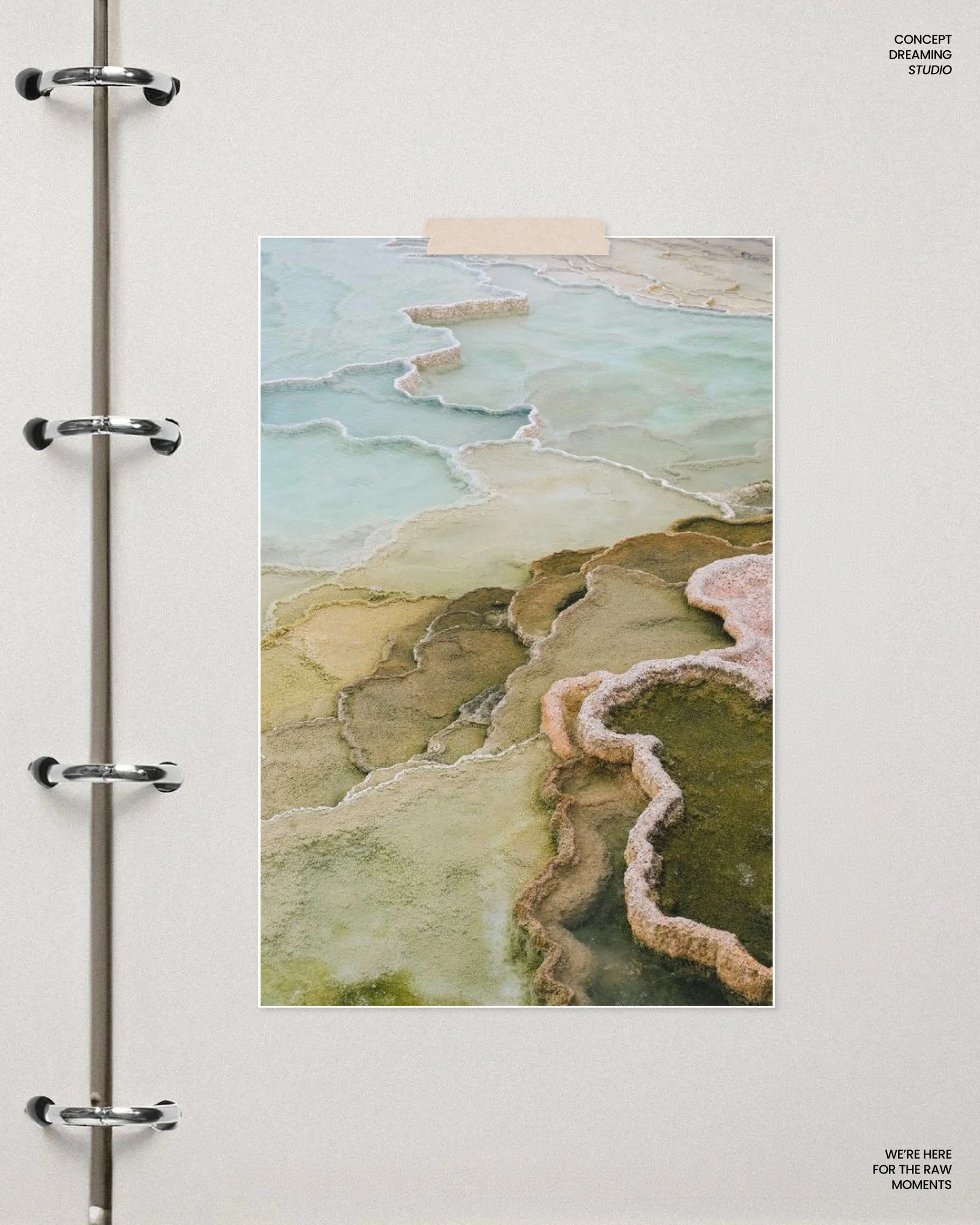 A brand that clearly communicates your value doesn&rsquo;t compete for attention &mdash; it naturally stands out. ✨

When your visuals, words, and strategy align, you stop chasing clients and start attracting the ones who instantly get it.

That&rsqu