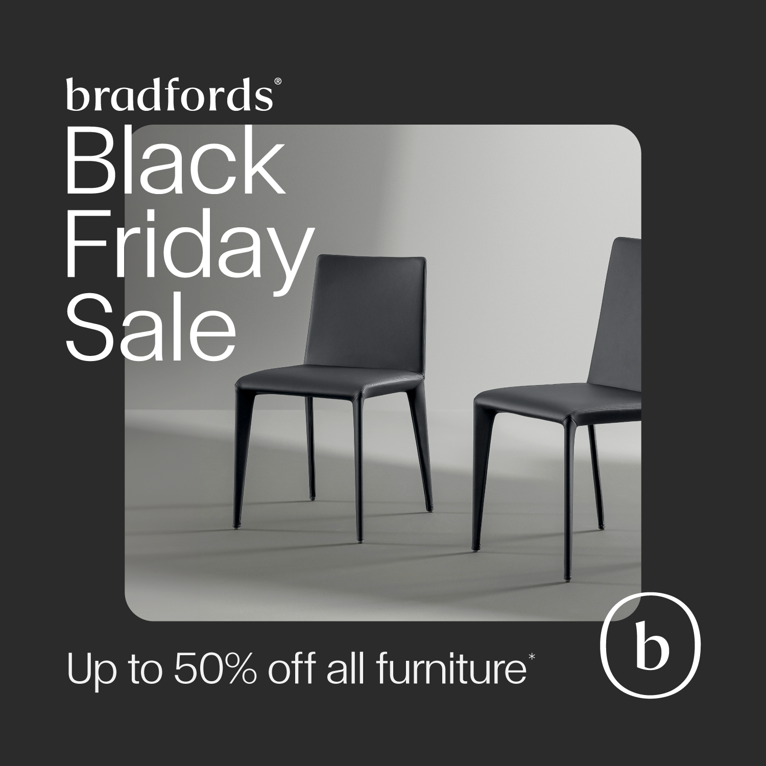 Black Friday 2024 Social Static v3_2A.png