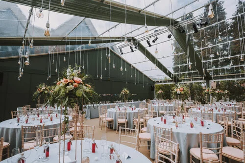 Millie bobby brown boyfriend list image