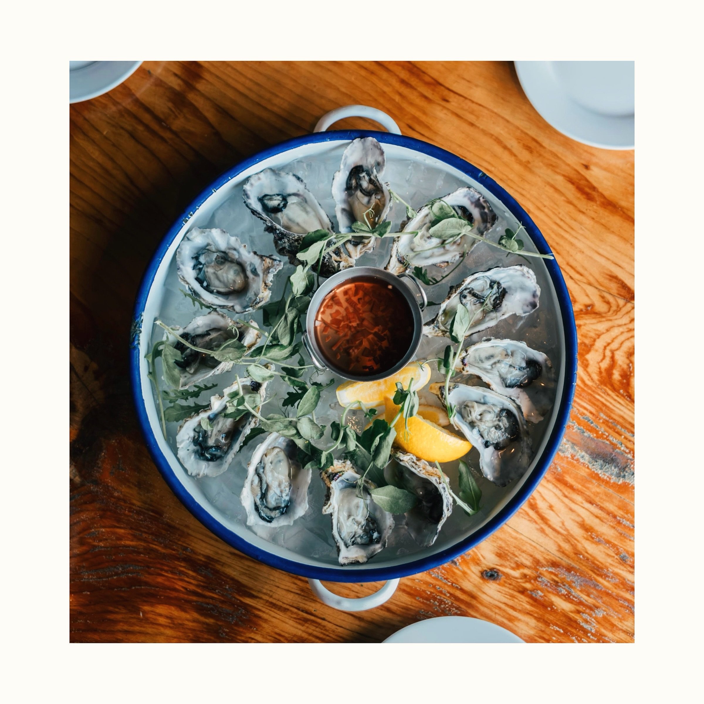 This is who we are. Every second day, we source fresh oysters directly from our local suppliers to preserve the highest level of freshness possible. We&rsquo;d love for you to experience one of Aotearoa&rsquo;s finest gems from the ocean. 🦪

#beachc