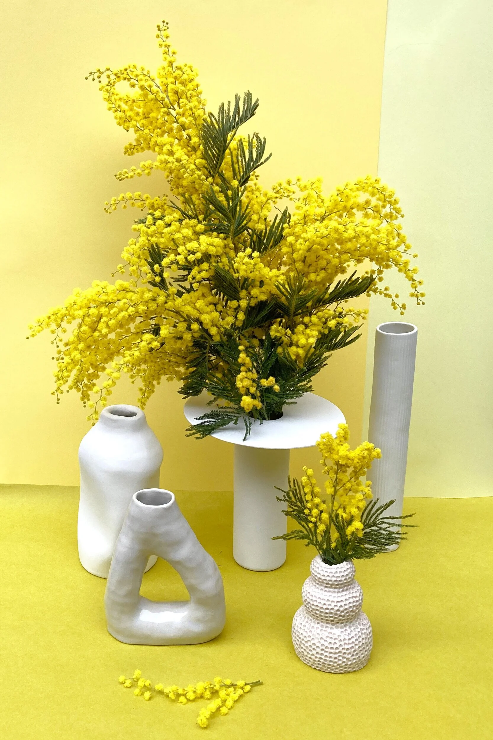 Bouquet de mimosa