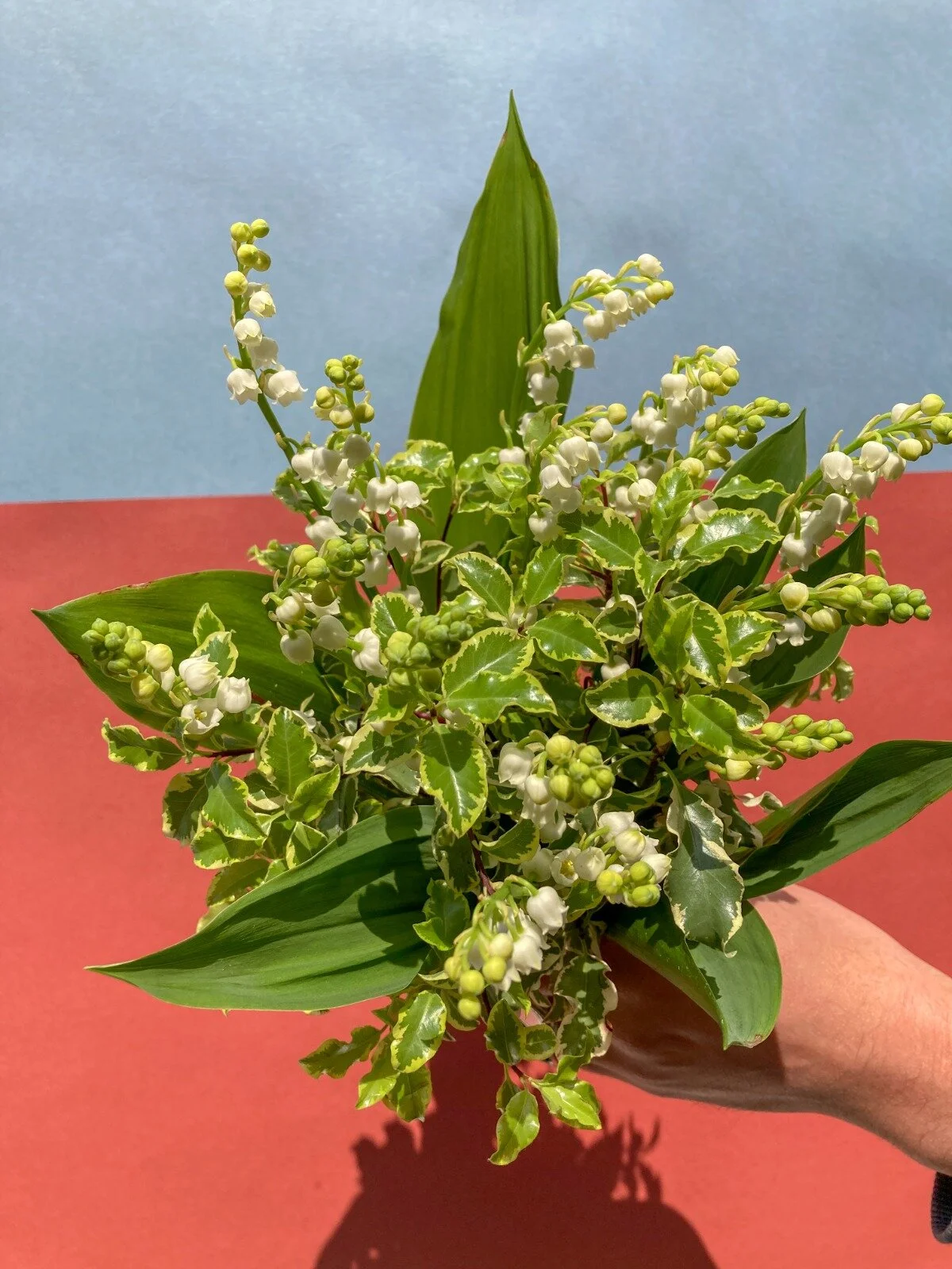 Bouquet de muguet