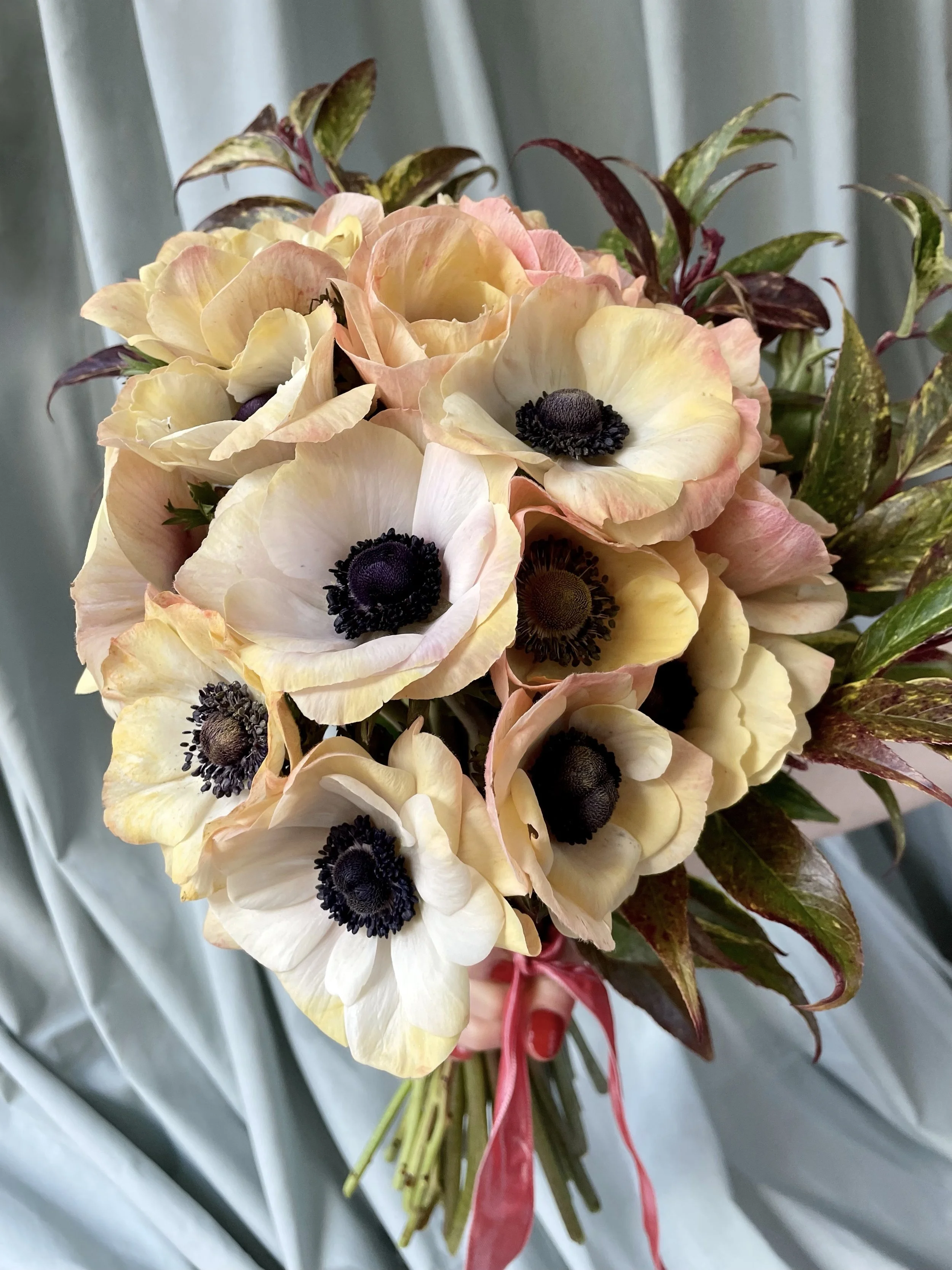 Brassée d'anémones