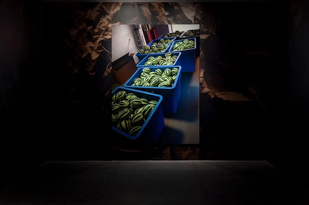 Coimbra Biennial, ANOZERO ‘26