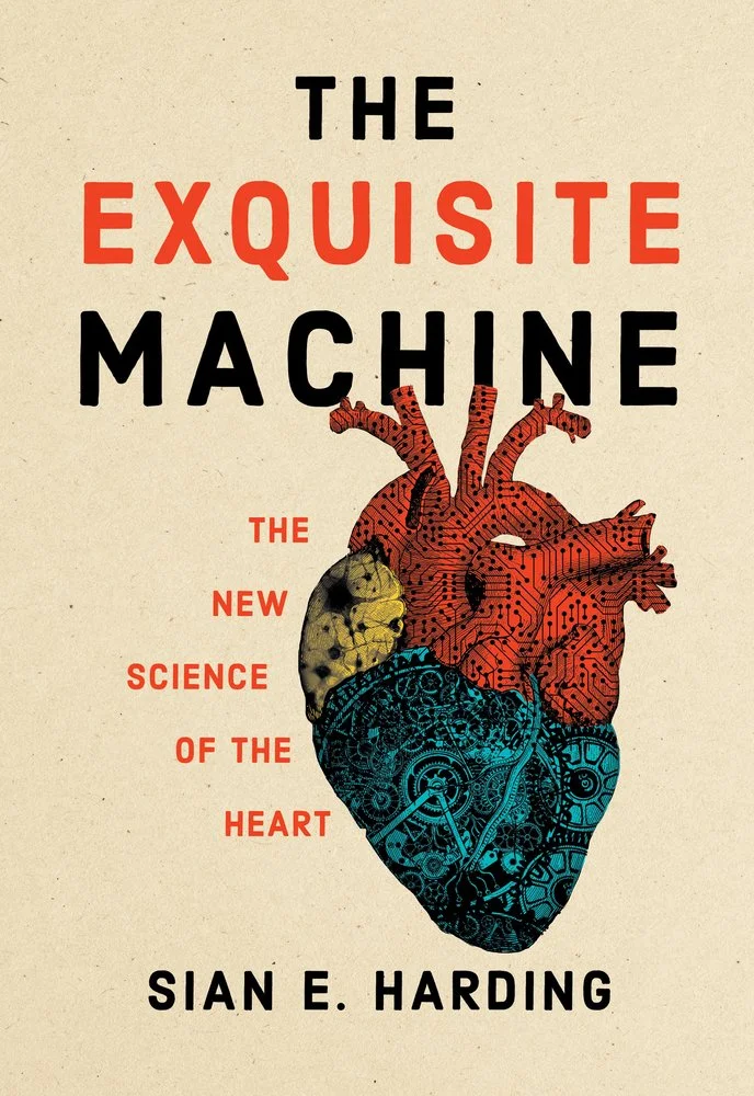 machine.jpg