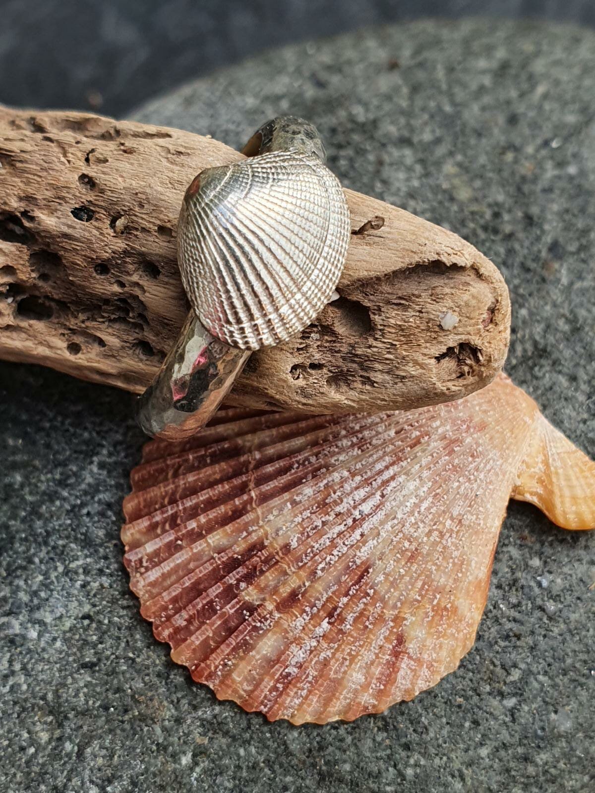 scallop ring.jpeg