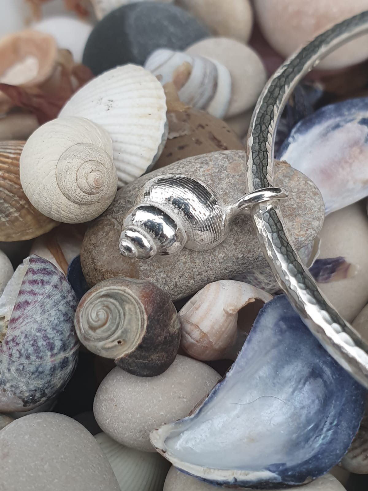Snail shell.jpeg