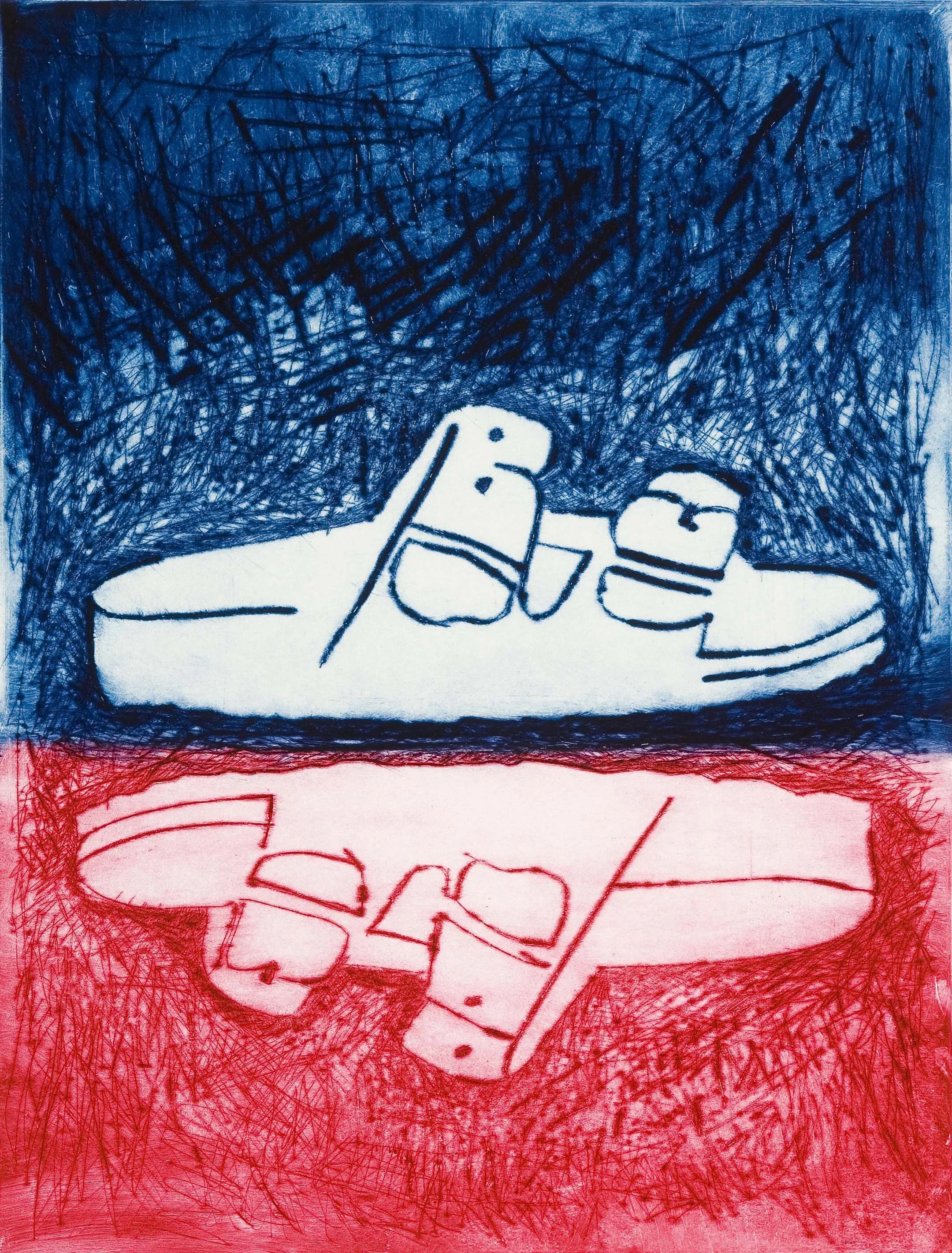 Nicolle Meijlink, Gezondheidsschoenen