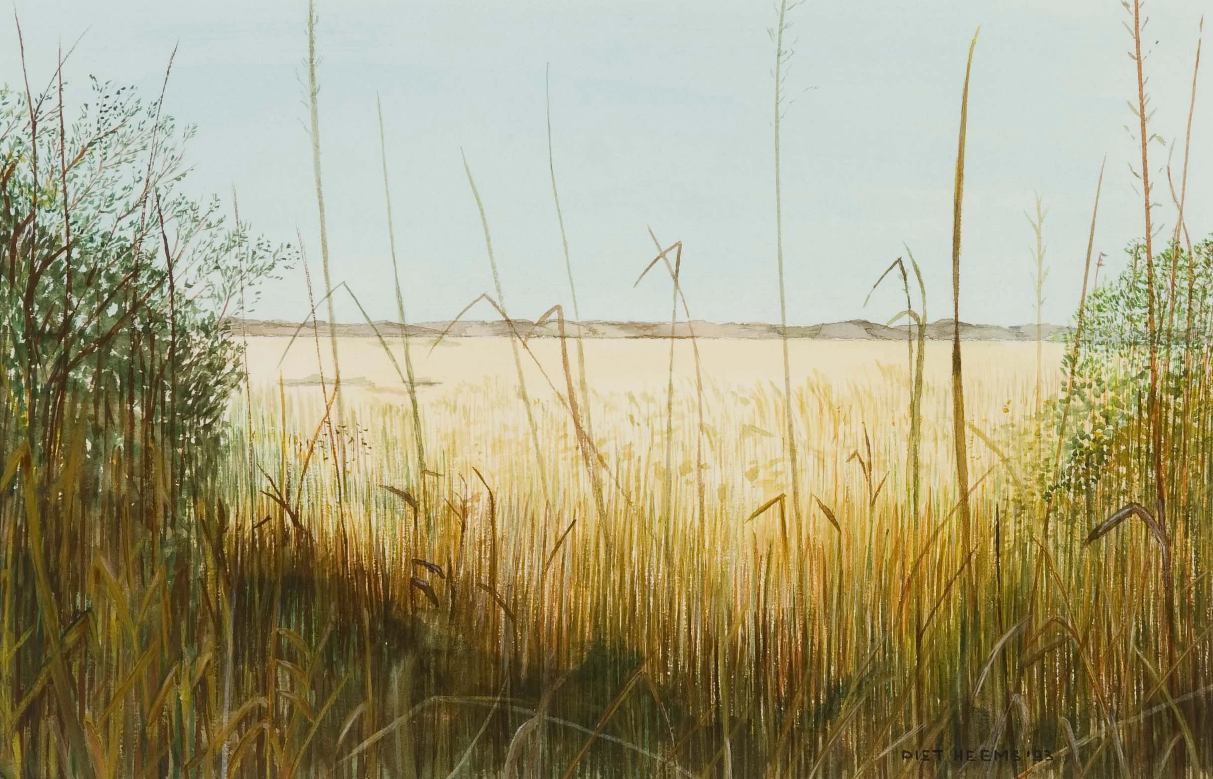 De Geul, Texel