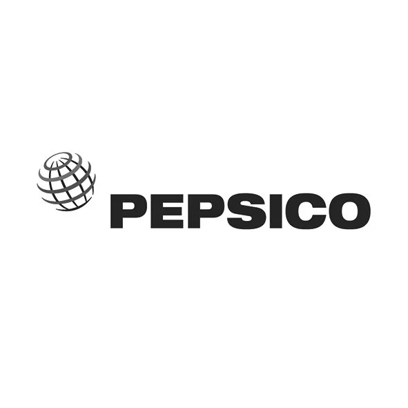 PepsiCo logo with a globe symbol to the left of the company name in bold black letters.
