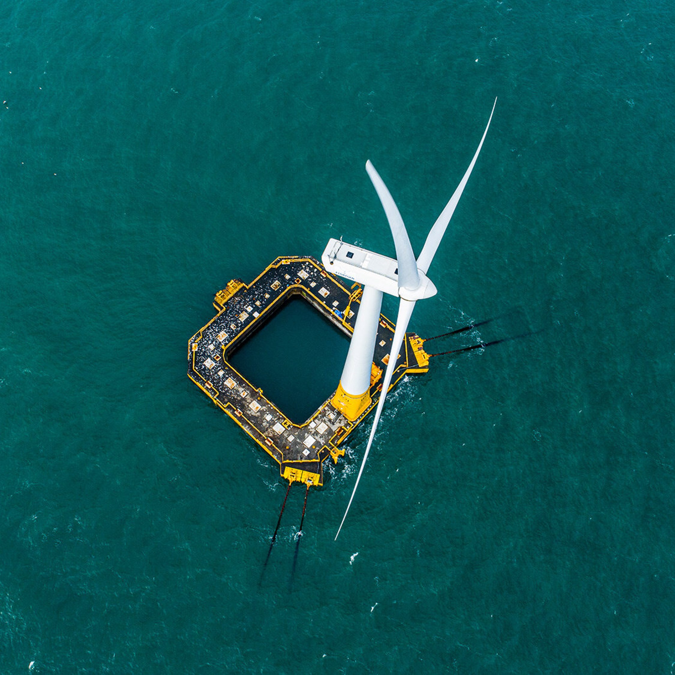 Buchan Offshore Wind Launches Scoping for Onshore Grid Connection