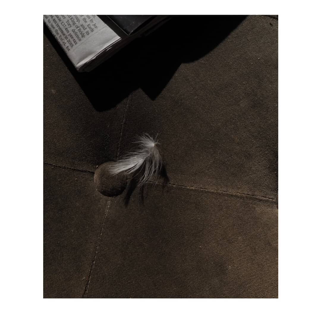 Feather © Rebecca Douglas-Home 2020