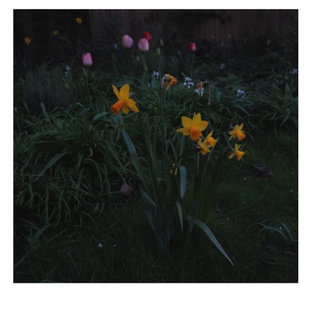 Spring © Rebecca Douglas-Home 2020
