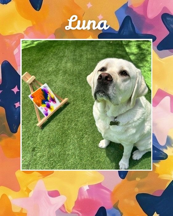 🧩🎨🐖🐓🌳🌿 Our Enrichment Classes have been a HIT! These pups have been with us learning new skills, meeting new animals, and spending time in nature.

Don&rsquo;t miss out on the fun! At Jazz&rsquo;s Wonderland, your dog can learn to paint, meet f