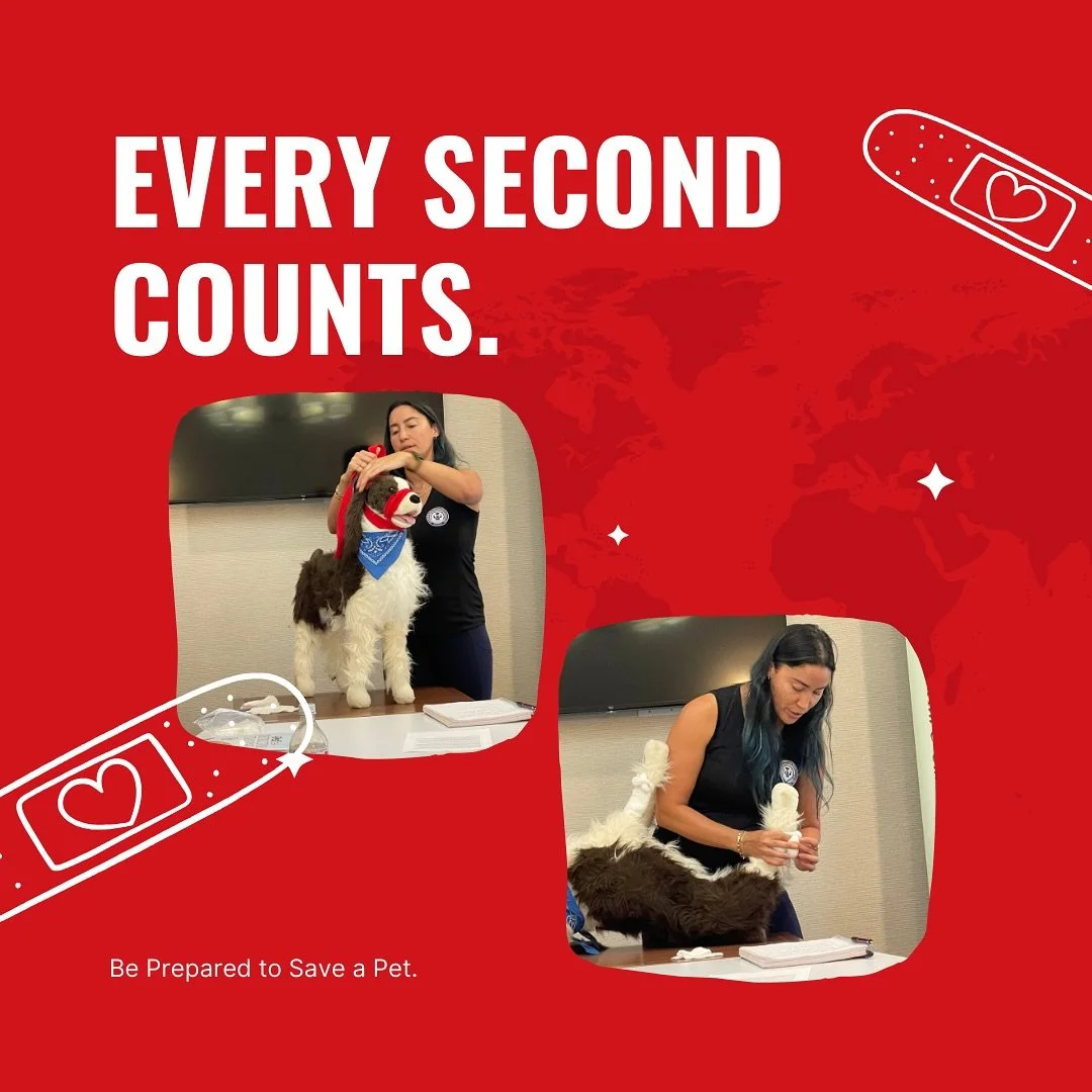 🚨🐾 Would you know what to do if your pet stopped breathing or started choking?

Join us for our Pet Tech PetSaver&trade; CPR &amp; First Aid Class on Saturday, October 25th at 9 AM here in Gainesville!

✅ Hands-on training ✅ 8-hour certification co