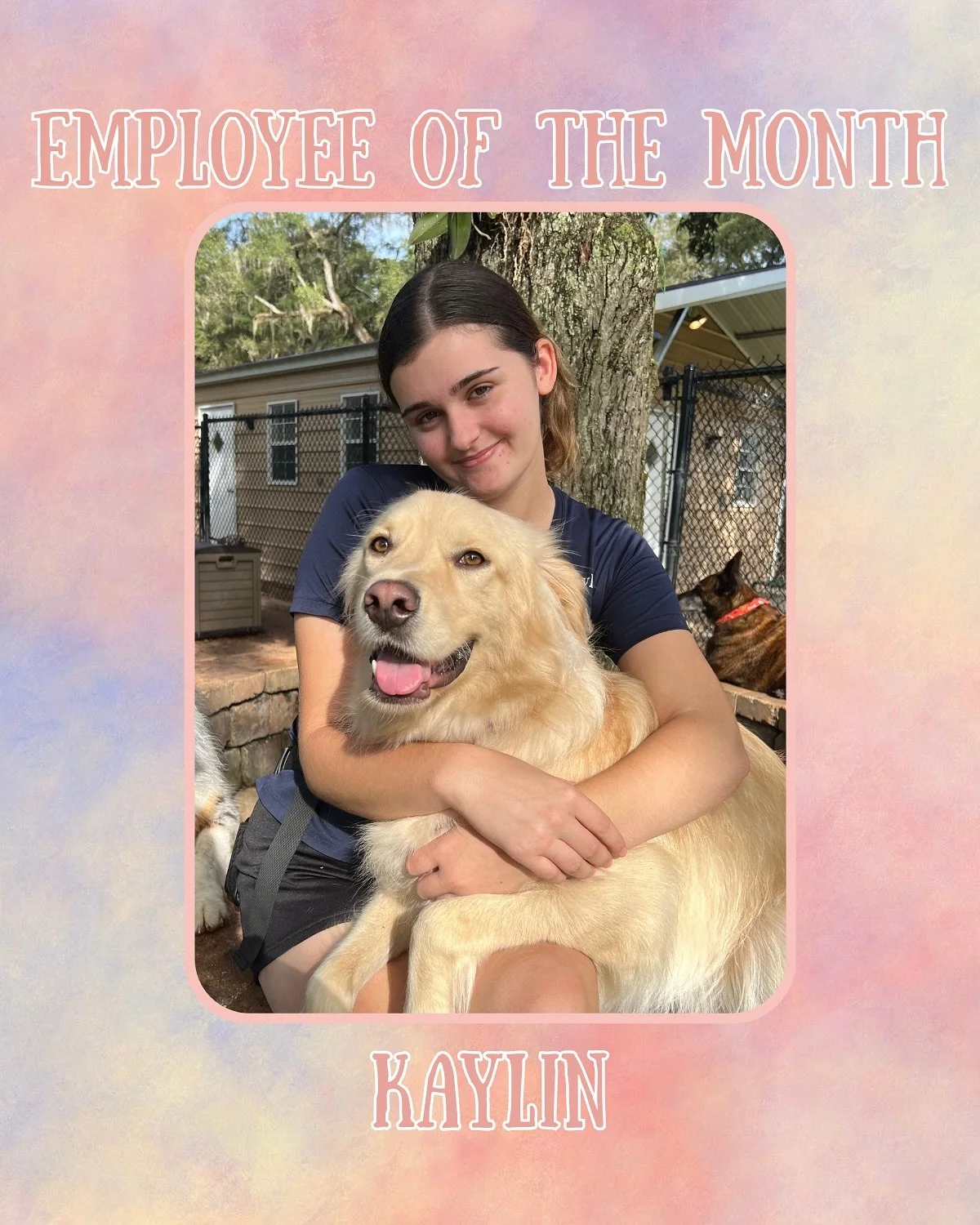 ⭐️Employee of the Month Spotlight: Kaylin!⭐️ 

Thank you to Kaylin for participating in our Employee of the Month Interview! 🐶🐾

#jazzswonderland #gainesville #florida #doggydaycare #employeeofthemonth #spotlight #dogsofinsta