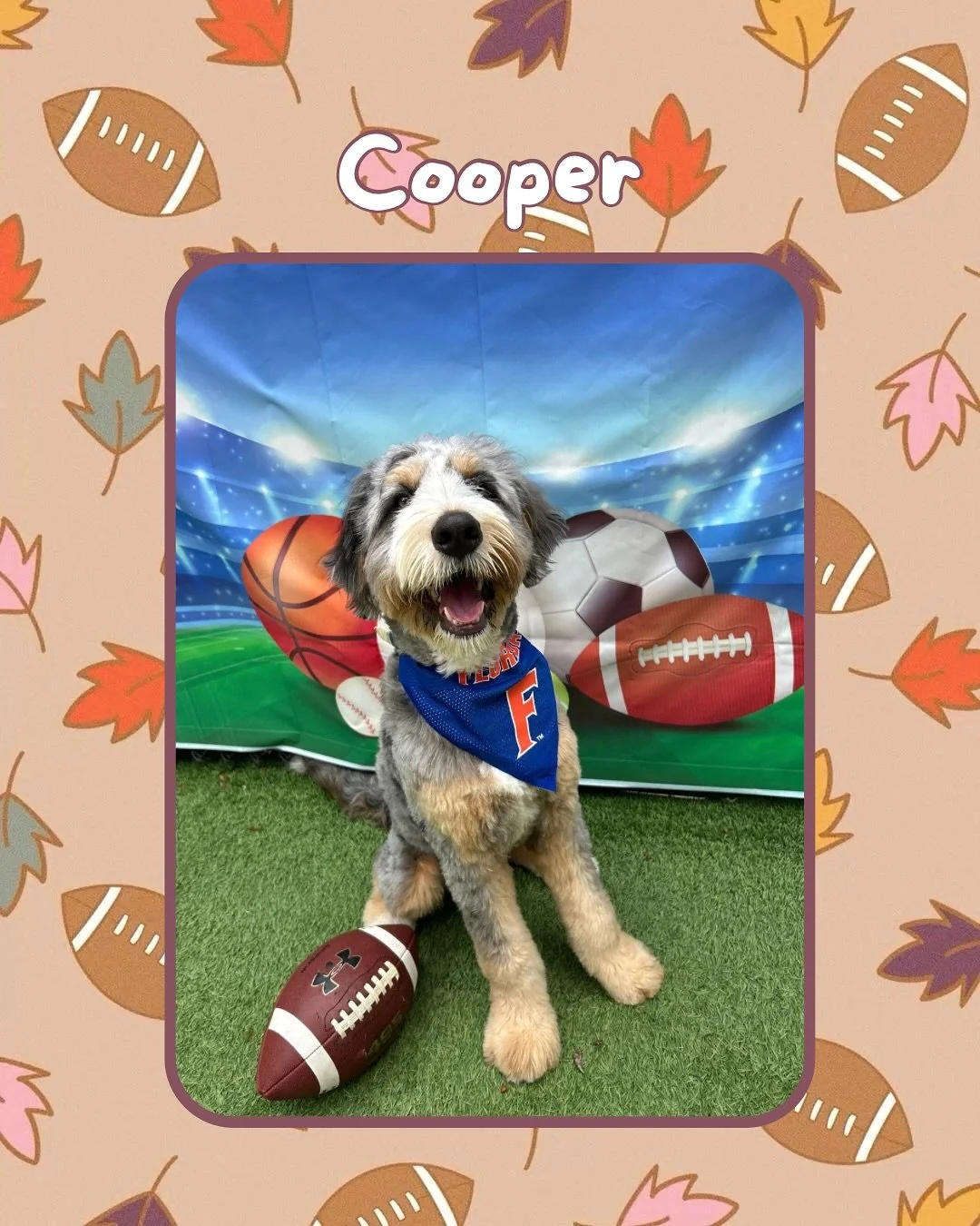 Watch out Gainesville! The best new football players are in town. We had an absolute blast playing a game of football with our pups last weekend. Swipe to see some members of the Orange Team and the Blue Team! 🐶🏈🐾🐊

#jazzswonderland #gainesville 