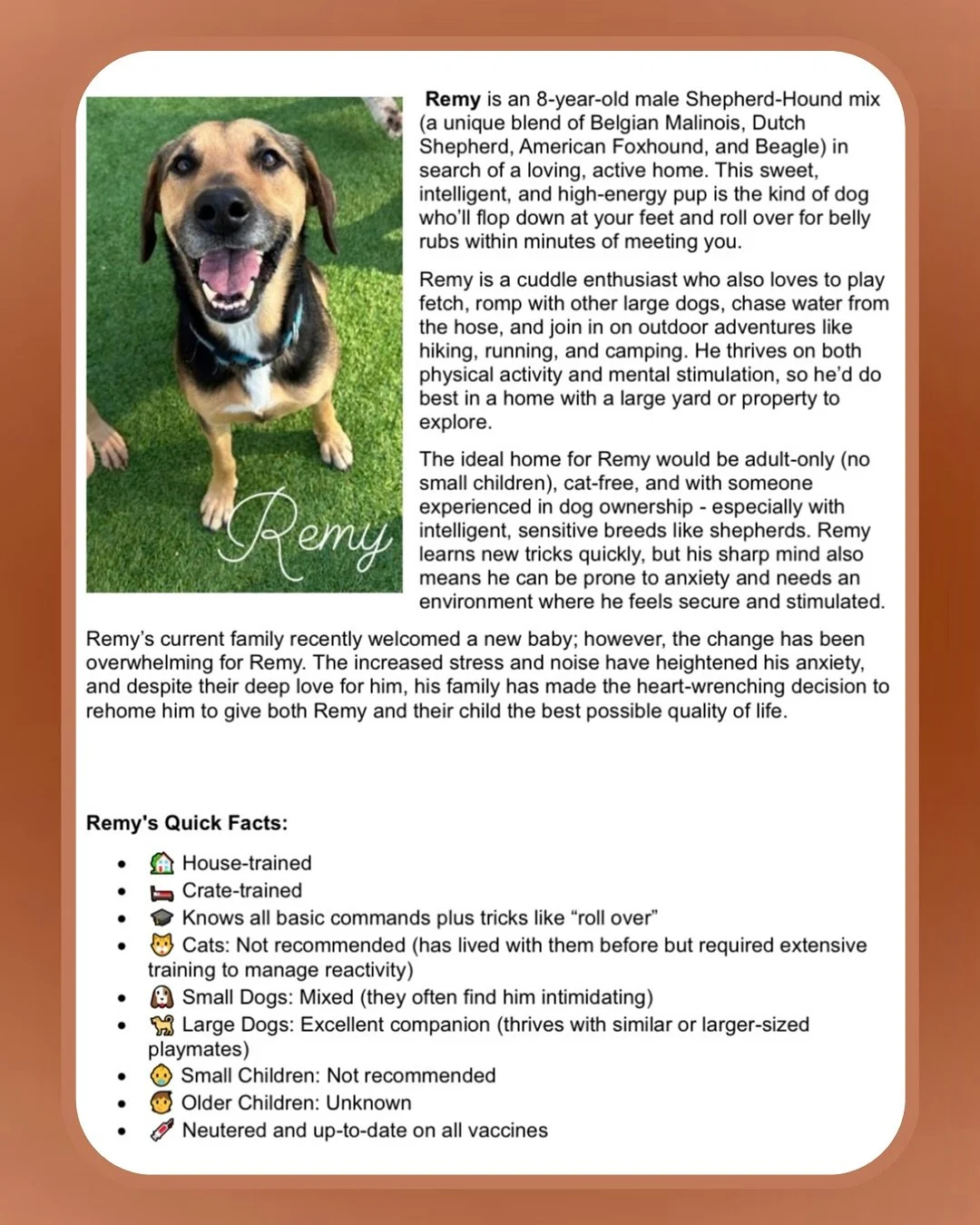 ✨Adoption Alert!✨

Remy is a sweet boy who needs his fur-ever home. Read all about Remy, his personality, and what he has to offer in the pictures above. 

Are you interested in adopting Remy? Please contact his current owners at NMWESTON@GMAIL.COM

