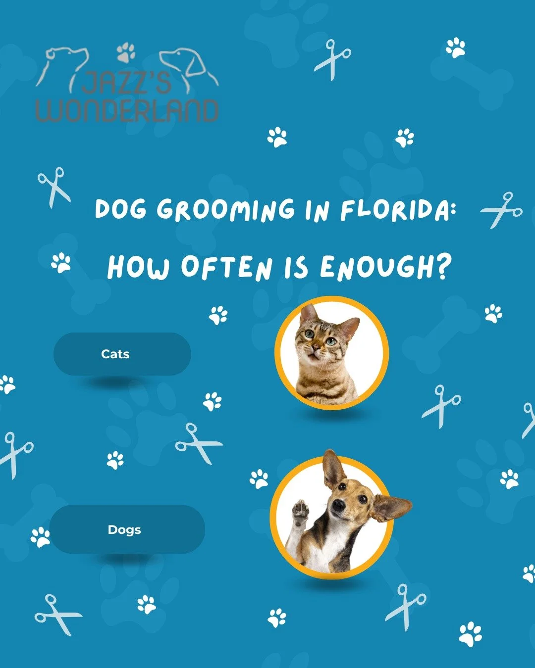 https://www.jazzswonderland.com/blog/how-often-should-you-groom-your-dog-in-floridas-humid-climate

Florida is famous for its sunshine, palm trees, and year-round warm weather&mdash;but for our furry friends, the heat and humidity can create unique c