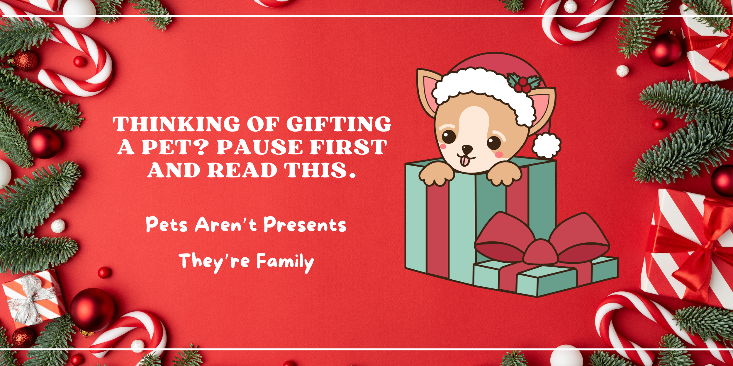 Why Pets Shouldn’t Be “Holiday Surprises”