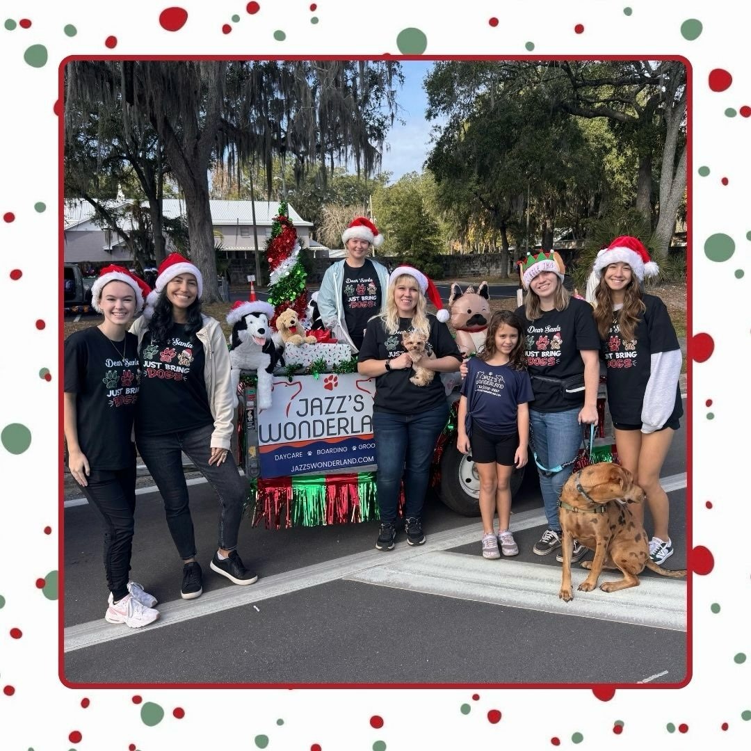 🎄Thank you to everyone who showed up to or participated in the Holiday Parade yesterday!🎄

It was a wonderful time celebrating the Christmas season with everybody, and we cannot wait for next time! Keep an eye out for more fun events like this to c