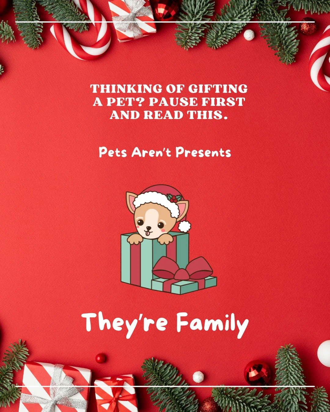 Why Pets Shouldn&rsquo;t Be &ldquo;Holiday Surprises&rdquo;

✨🎄 Thinking of adding a furry friend to your family this holiday season?
The idea feels magical&mdash;warm moments, wagging tails, and Christmas-morning joy. It&rsquo;s no surprise that ad
