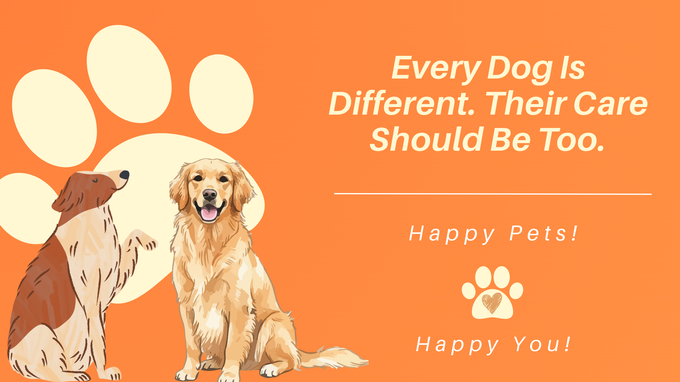 Is Daycare Right for Every Dog? How to Know What’s Truly Best for Your Pup 🐾