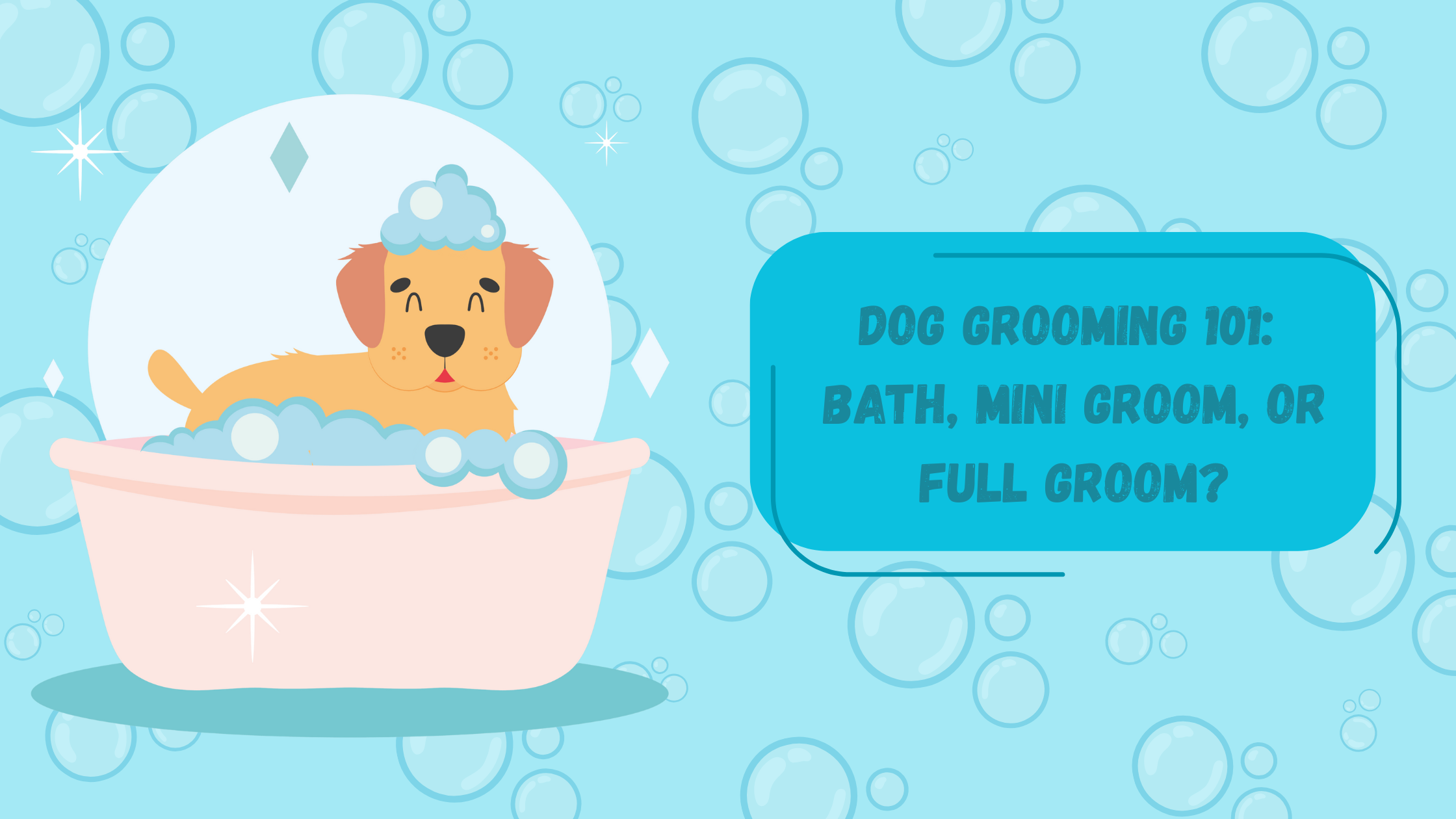 Mini Groom vs. Full Groom vs. Bath &amp; Blow Dry: Choosing the Right Grooming Service for Your Dog