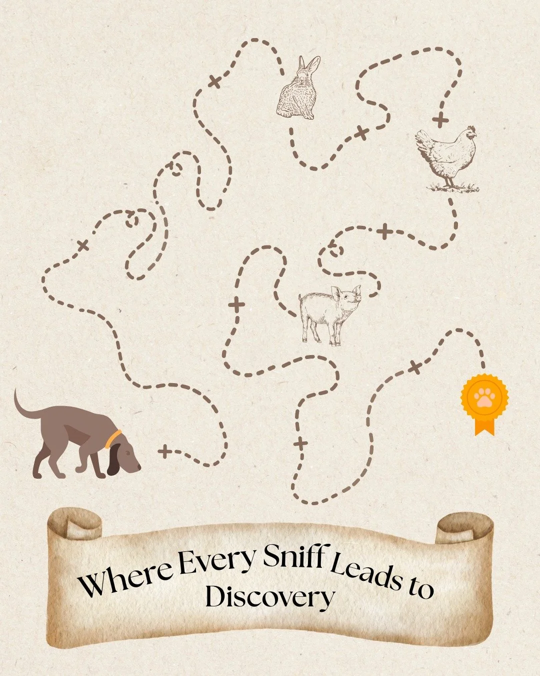 🐶👃 Sniffing is more than curiosity &mdash; it&rsquo;s brain work.

When dogs explore scents, their brains activate in powerful ways. Sniffing helps reduce stress, build confidence, and provide deep mental stimulation.

That&rsquo;s why enrichment a