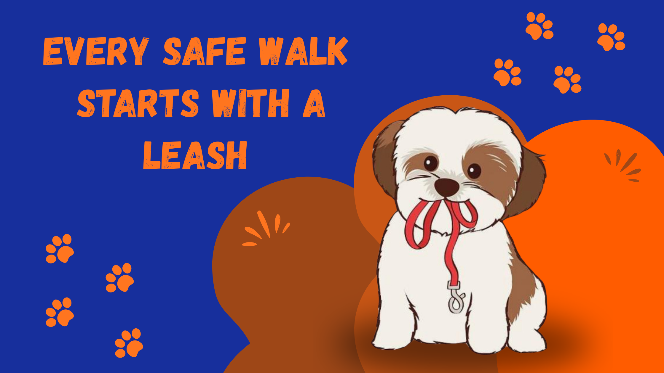 Leash Safety 101: Choosing the Right Leash and Protecting Your Dog Every Step of the Way