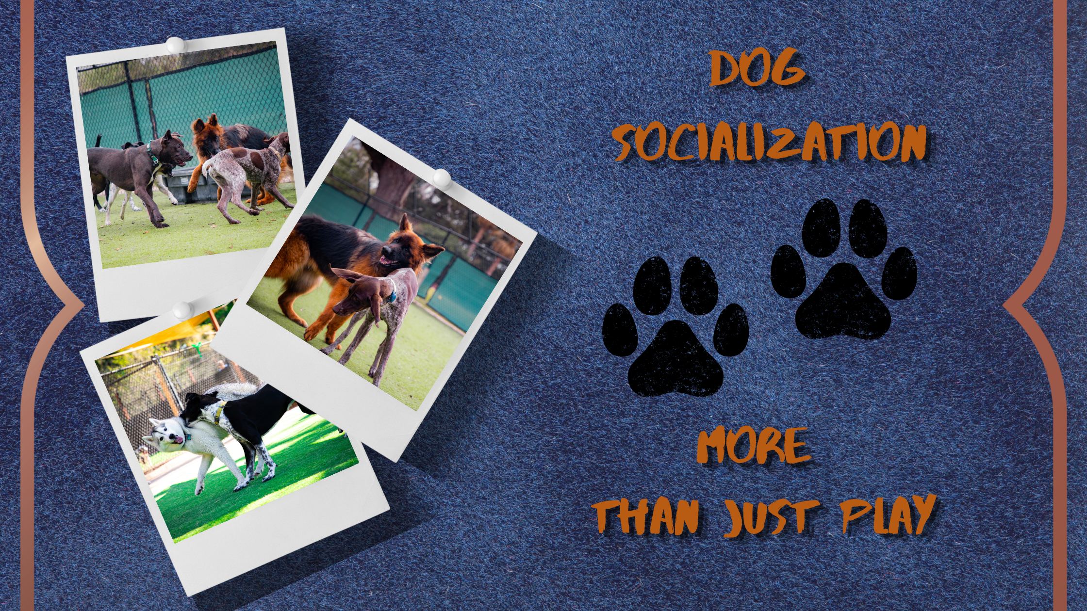 Socialization and Overall Well-Being