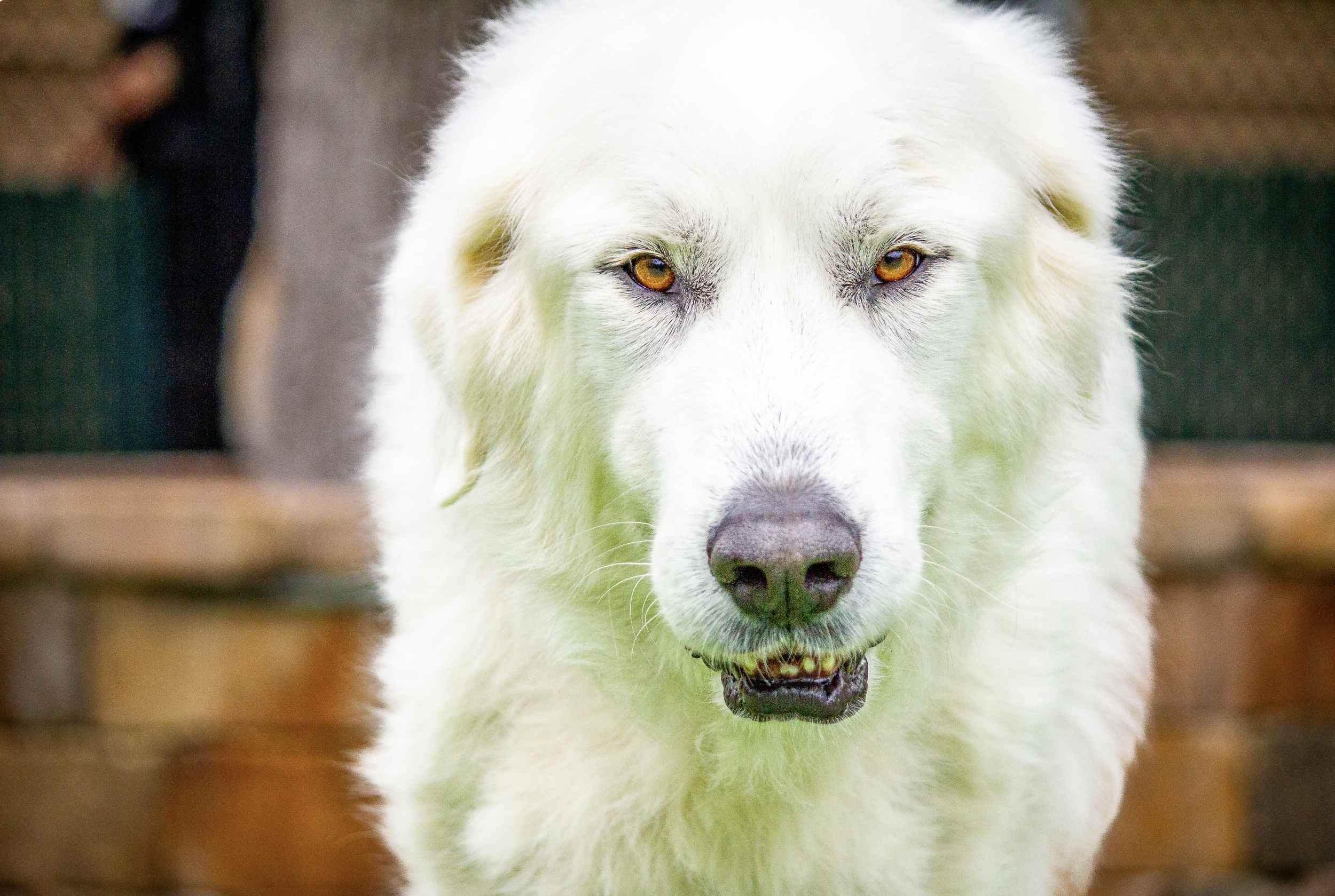 Screenshot 2026-03-31 at 11.30.22.png