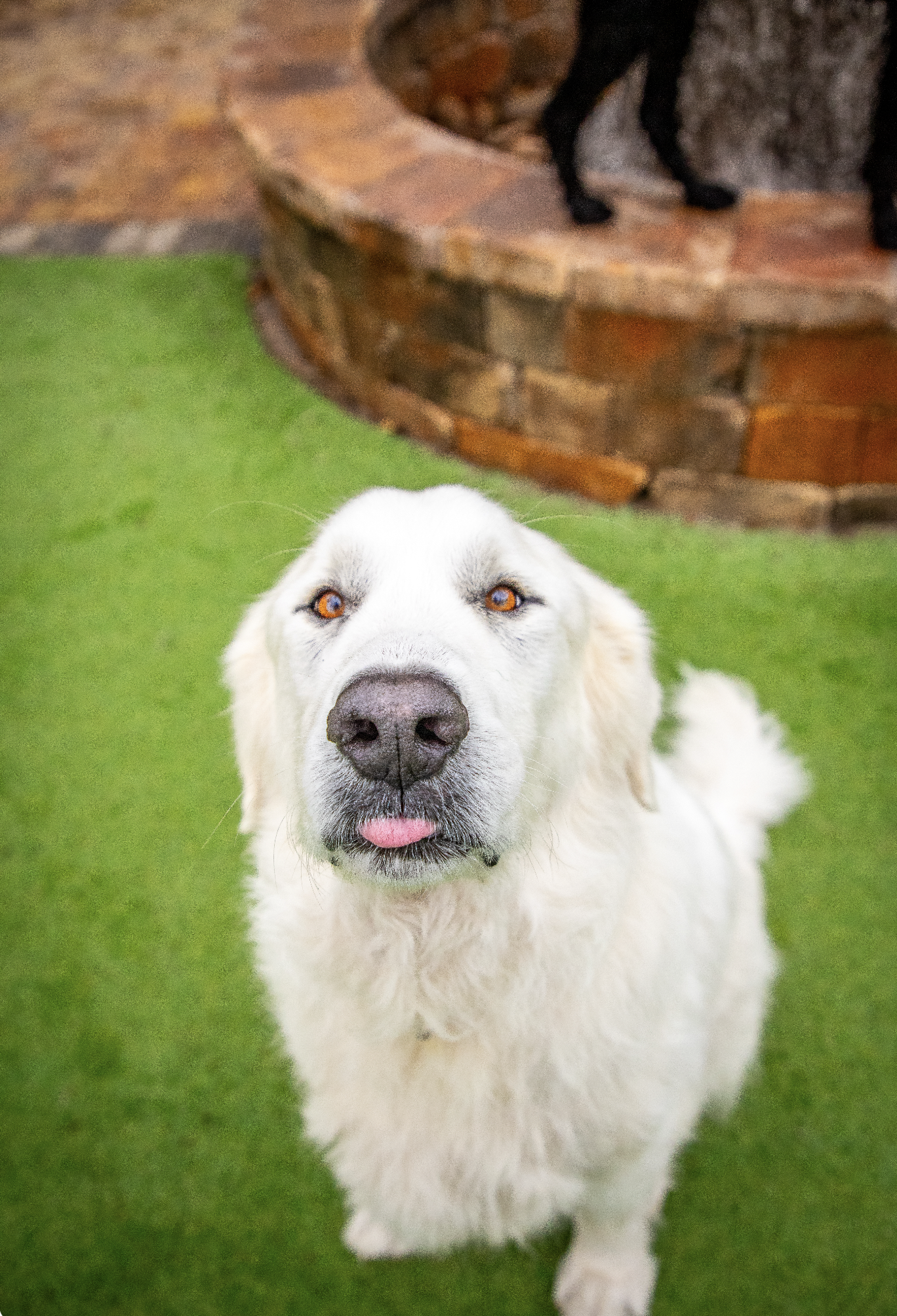 Screenshot 2026-03-31 at 11.25.18.png