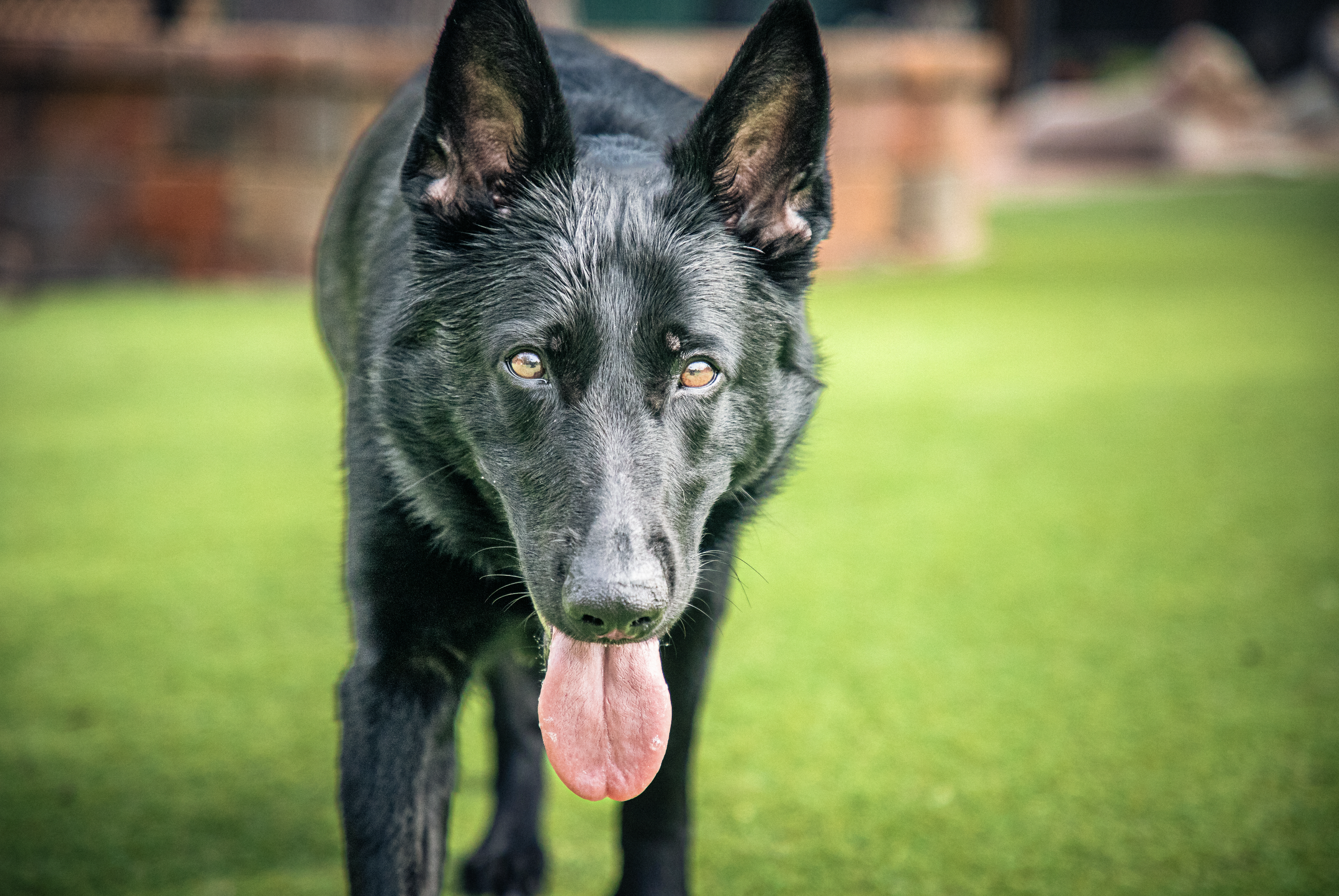 Screenshot 2026-03-31 at 11.46.02.png