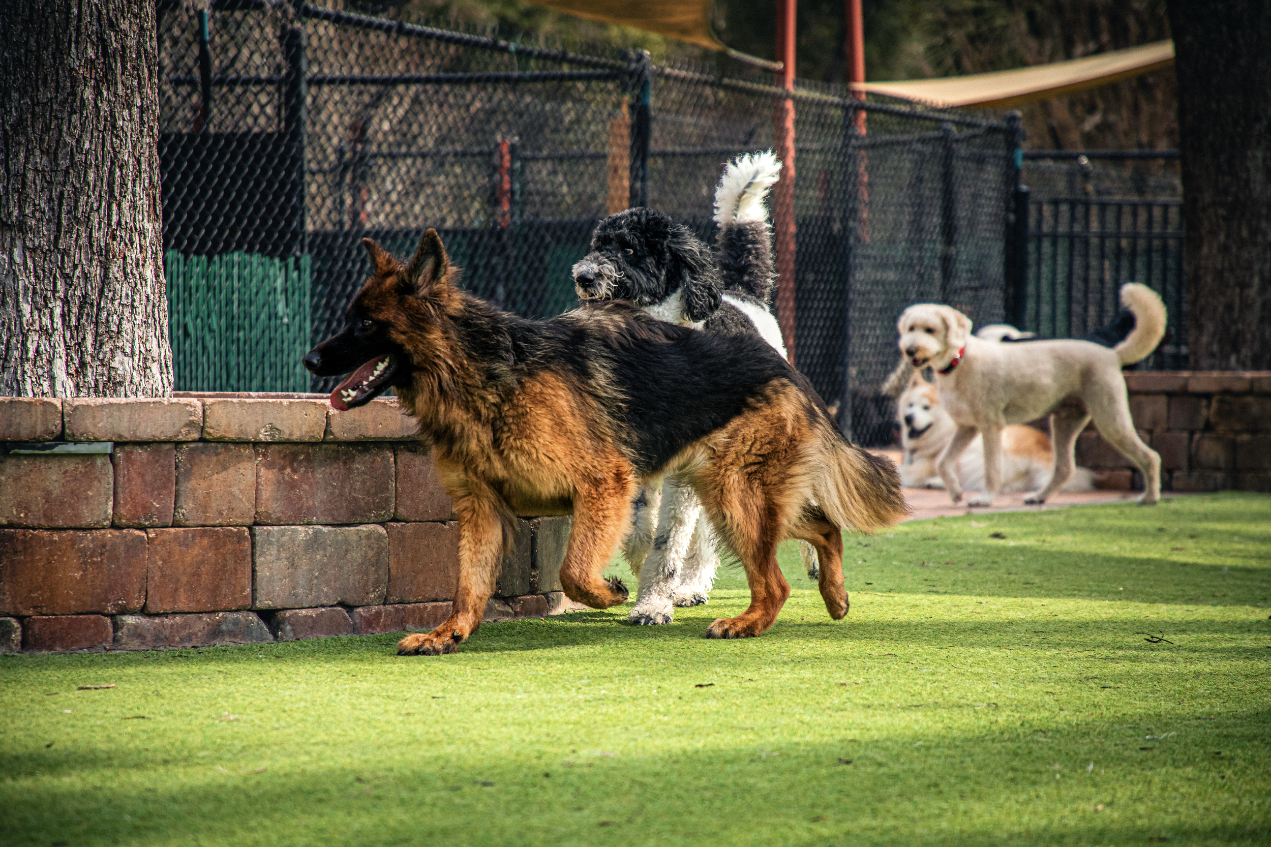 Screenshot 2026-03-31 at 11.45.26.png