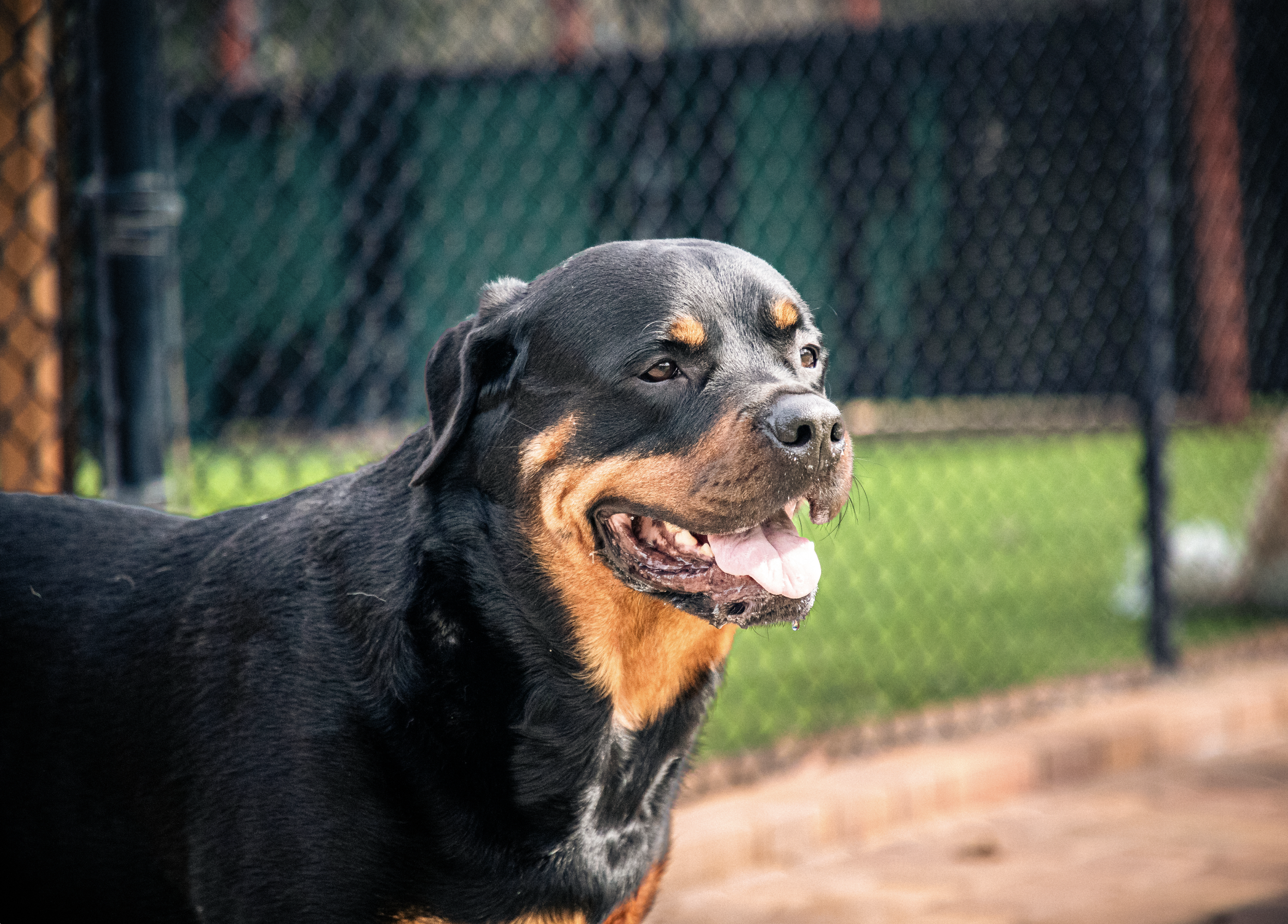 Screenshot 2026-03-31 at 11.46.23.png