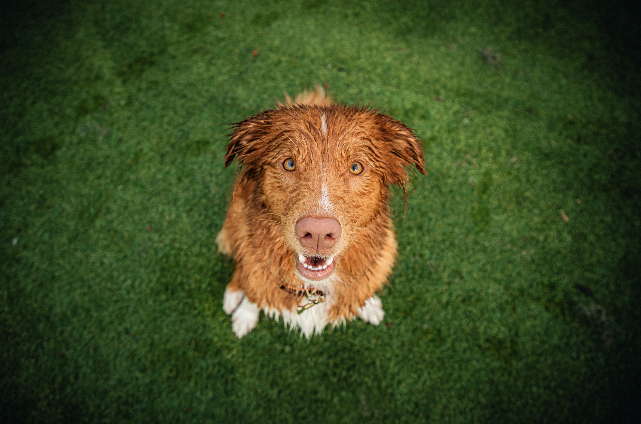 Screenshot 2026-03-31 at 11.43.36.png