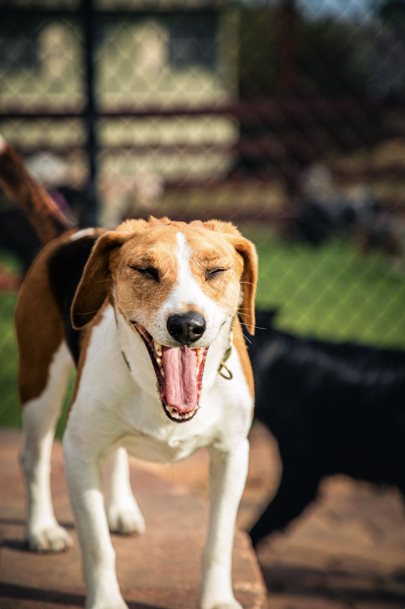 Screenshot 2026-03-31 at 11.43.23.png