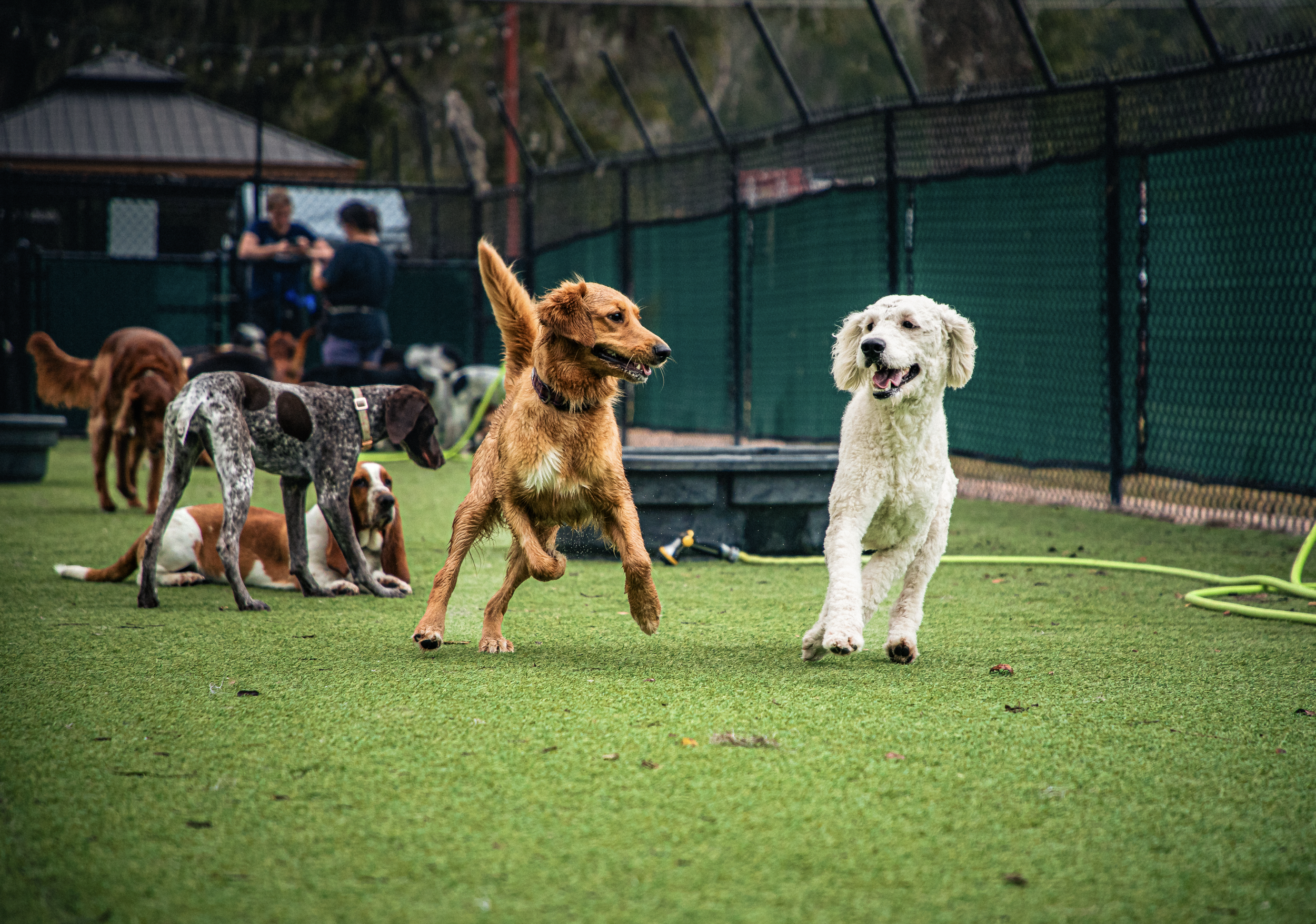 Screenshot 2026-03-31 at 11.44.32.png