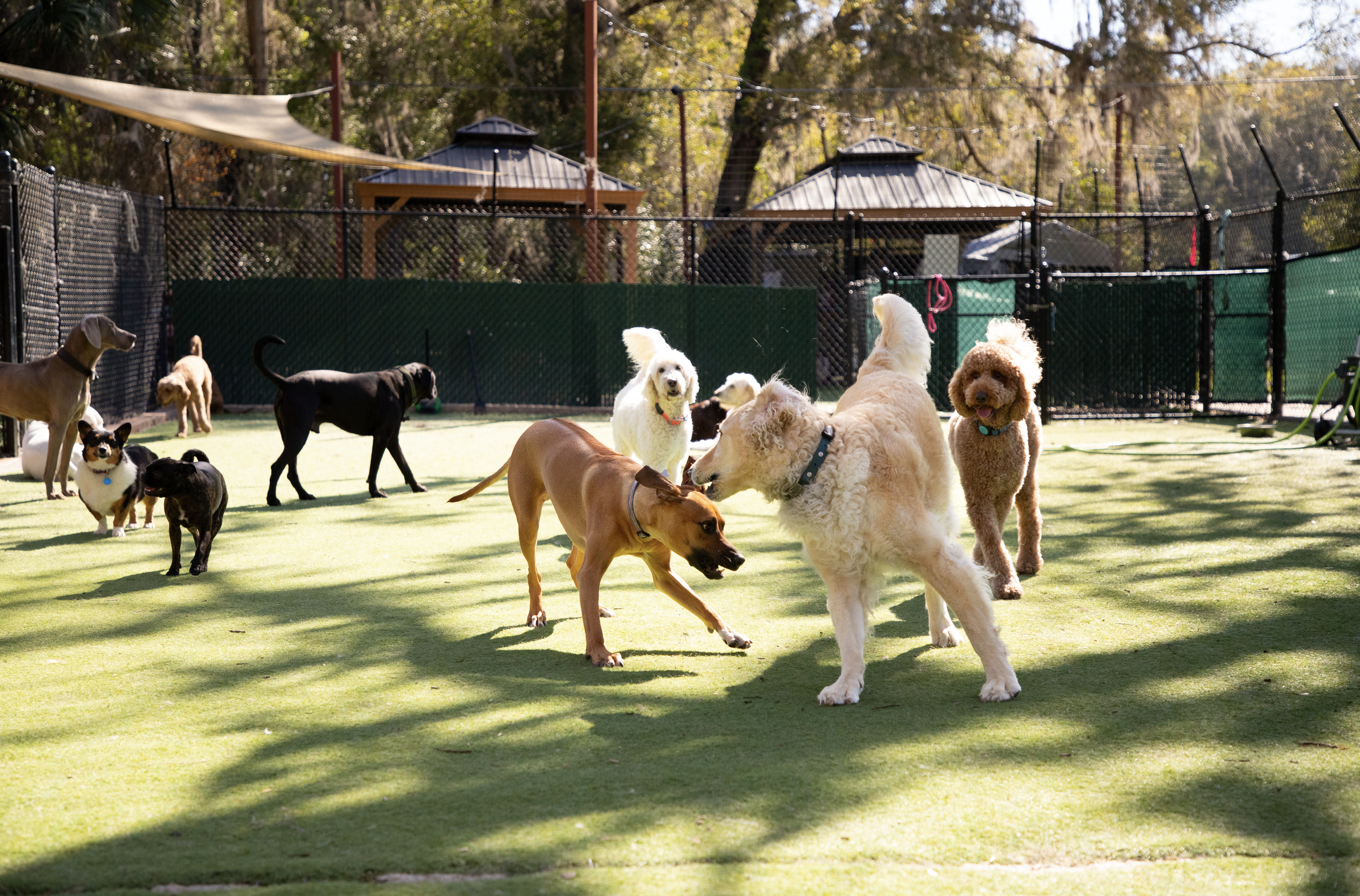 Screenshot 2026-03-31 at 11.15.52.png