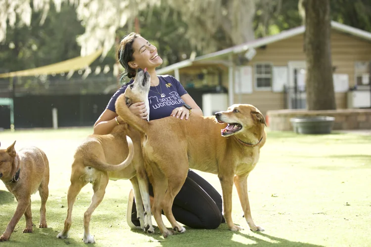 A Jazz's Wonderland team member with a group of happy dogs